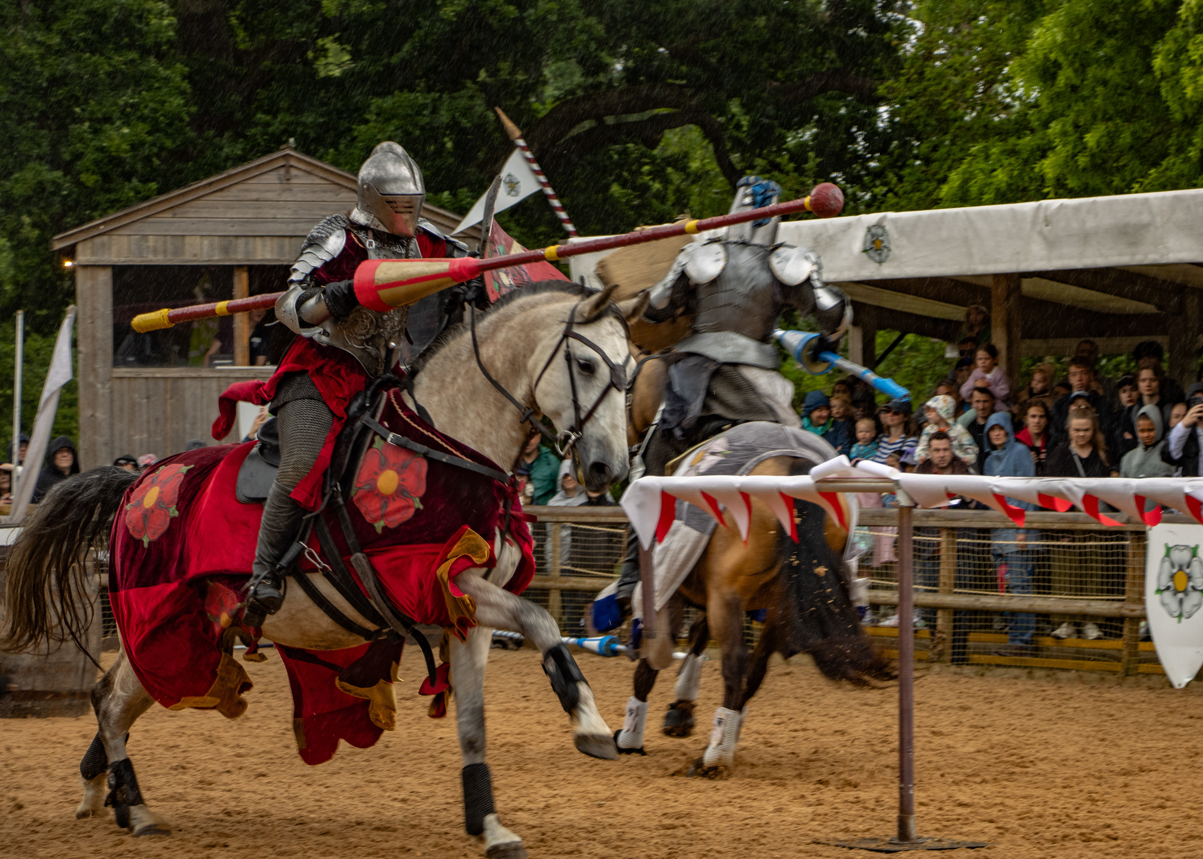 War Of The Roses