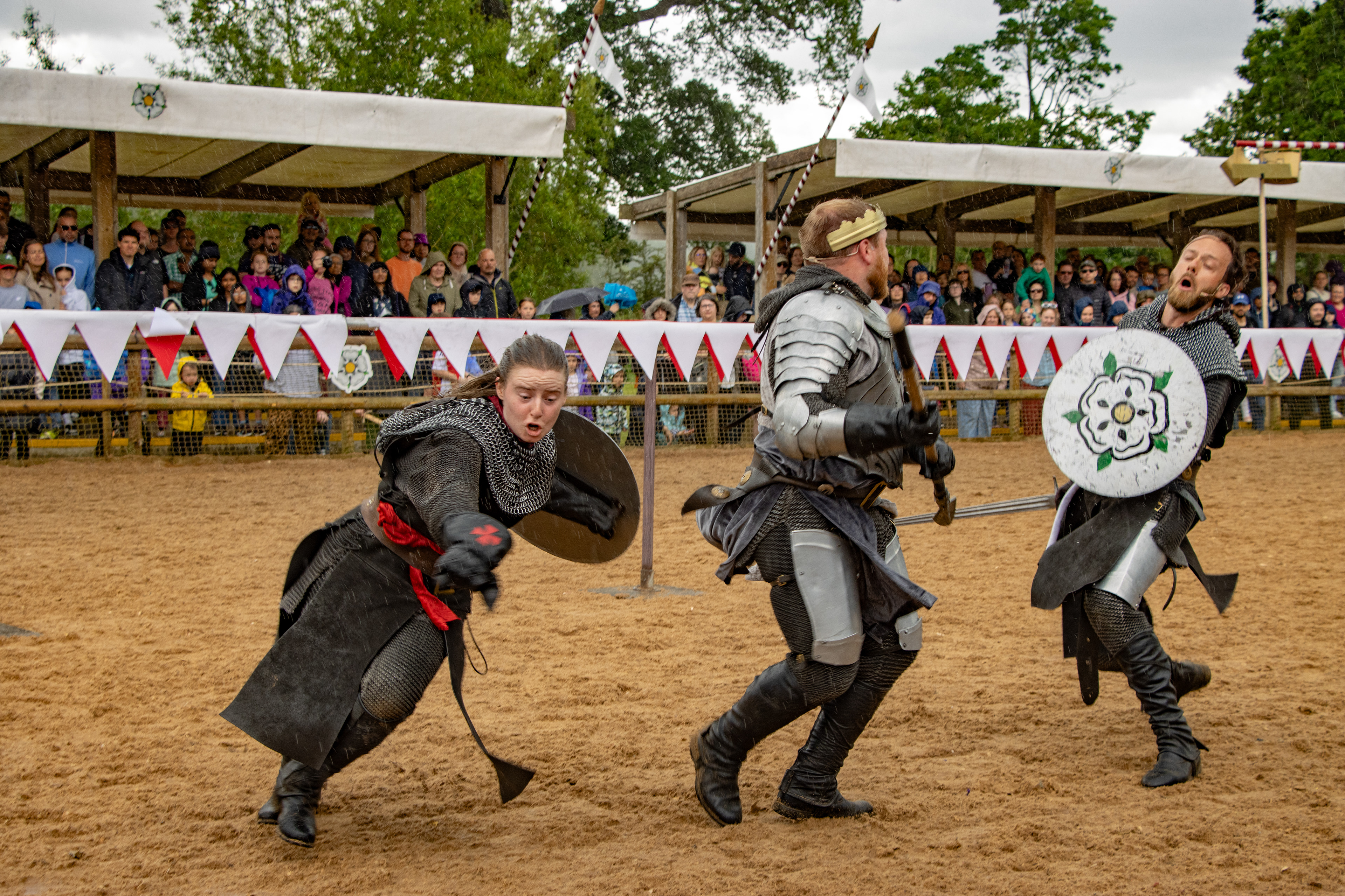 War Of The Roses