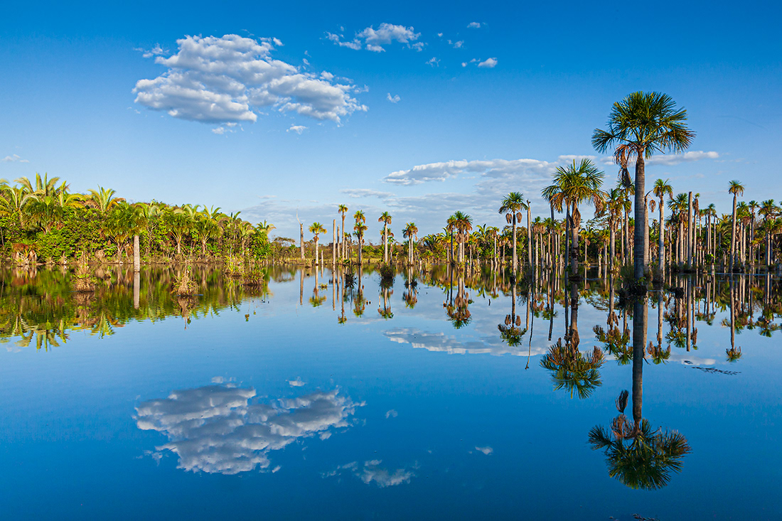   Buritizal -  Mato Grosso - BBrazil - © 2014 Kike Bullón