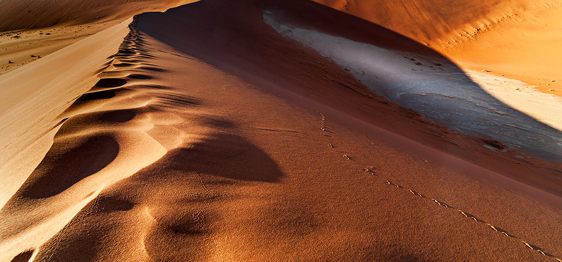 Sand and traces - Namibia - © 2013 Kike Bullón