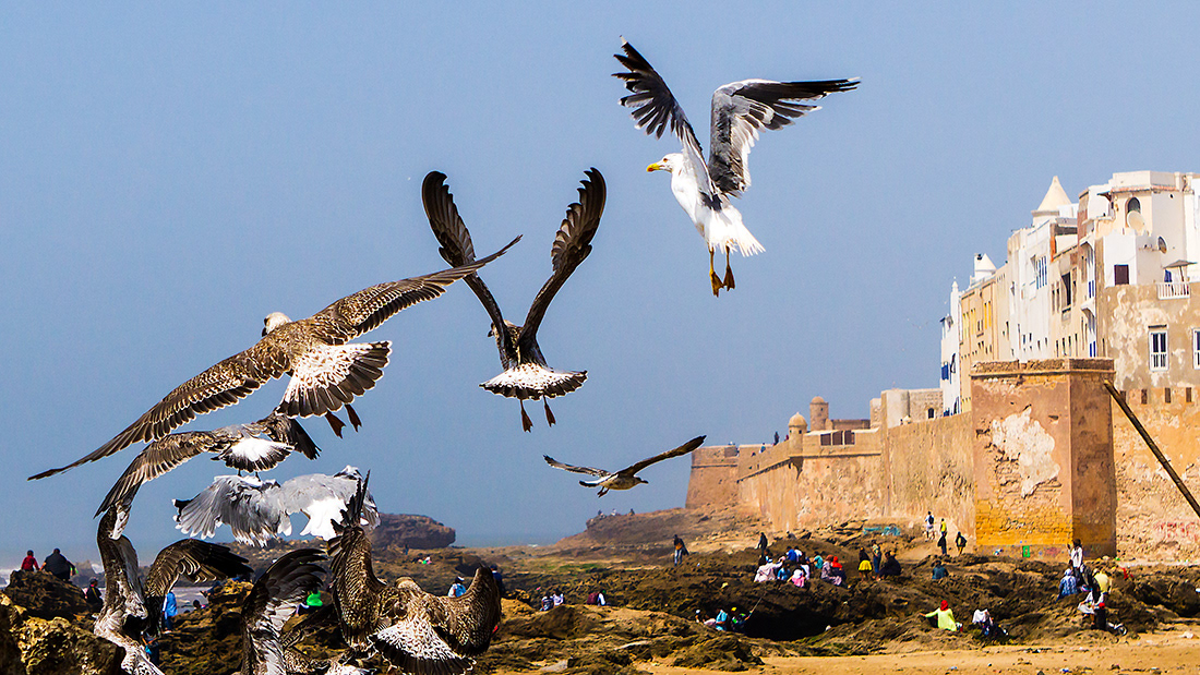 Essaouira - Morocco - © 2019 Kike Bullón