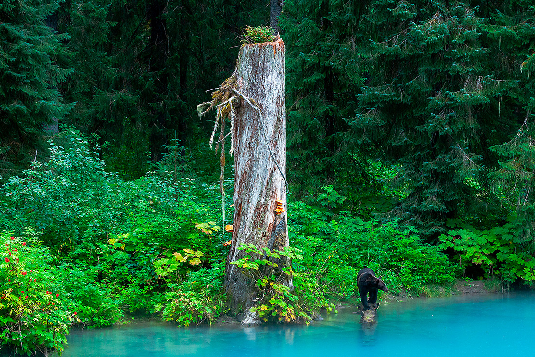 Blue Lake - Hyder - Alaska - © 2009  Kike Bullón