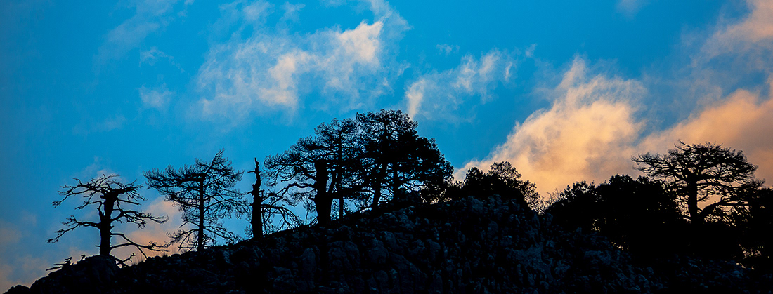 Sierra de Cazorla - Jaén - Spain - © 2007 Kike Bullón