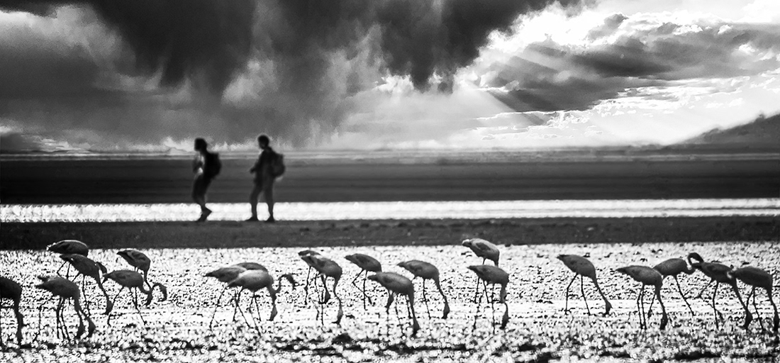 Lake Natron - Tanzania - © 1992 Kike Bullón