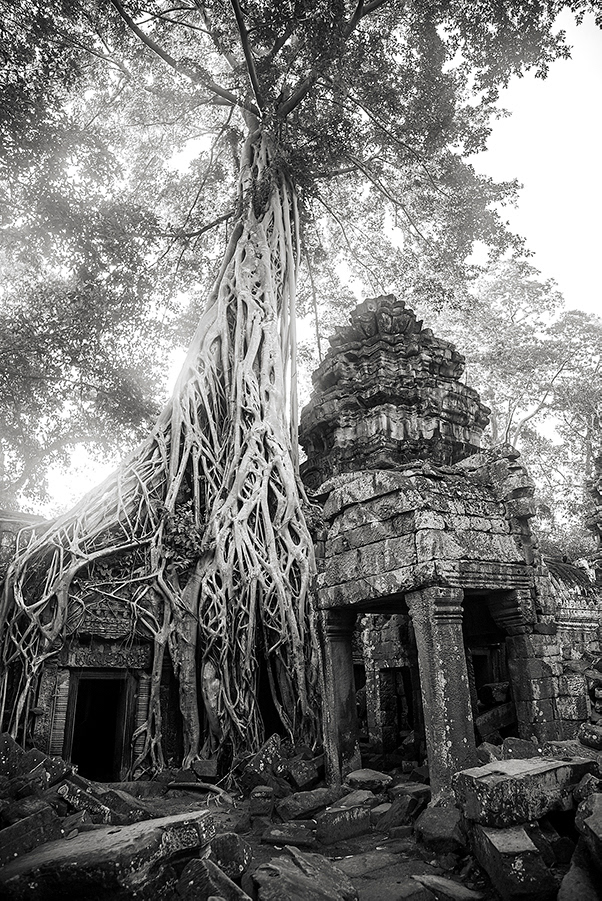 Ta Prohm - Angkor - Camboya - © 2008  Kike Bullón