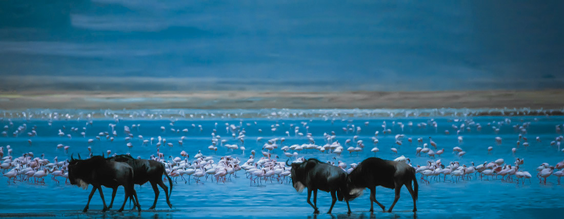 Lago Natron - Tanzania - © 1989 Kike Bullón