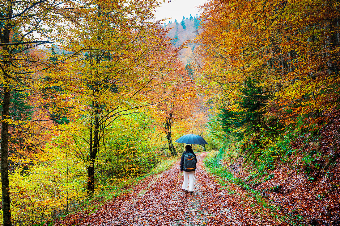  Autumn walk -  Irati - Navarra - Spain - © 2024 Kike Bullón