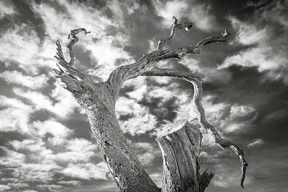 Wood and sky - Guadalajara - Spain - © 2008 Kike Bullón
