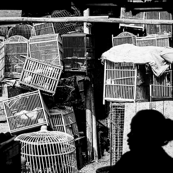 Bird Market - Jakarta - Indonesia - © 1991 Kike Bullón