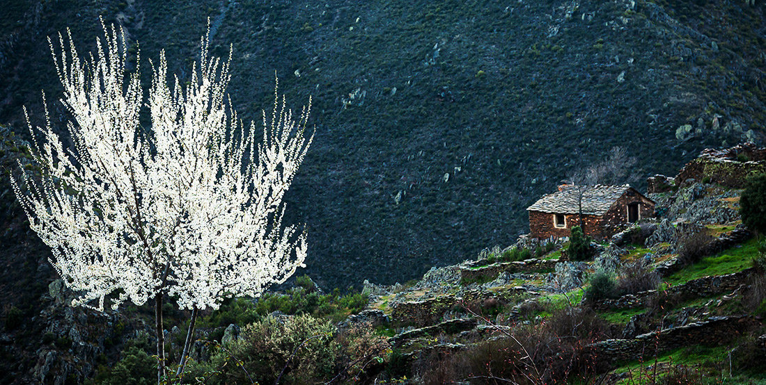 La Vereda - Guadalajara. - Spain- © 2008 Kike Bullón