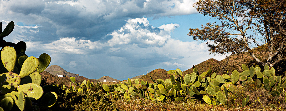 PN Cabo de Gata - Almería - Spain - © 2009 Kike Bullón