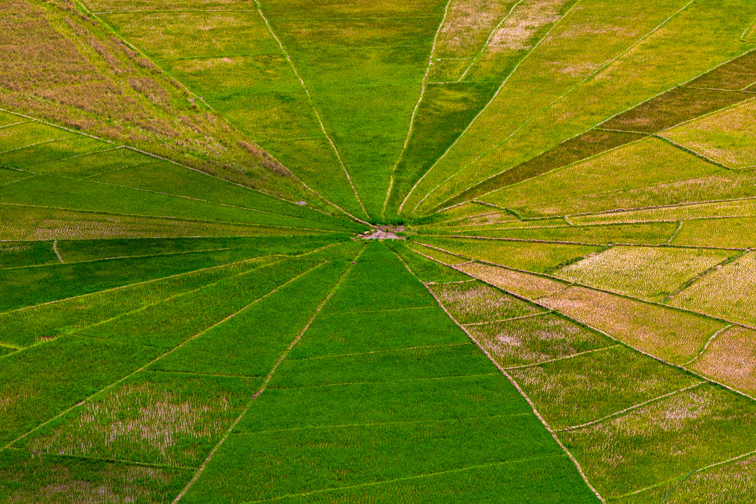 Spider rice fields - Nusatenggara -  © 2025 Kike Bullón