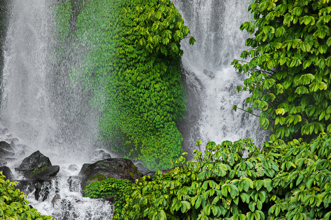 Vertical garden © 2025 Kike Bullón