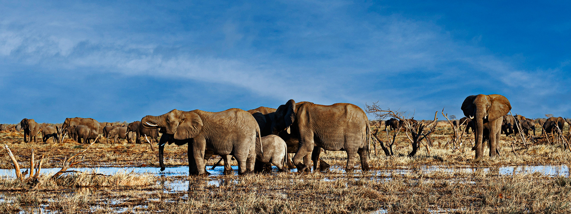 Okavango Delta - Botsuana - © 2013 Kike Bullón