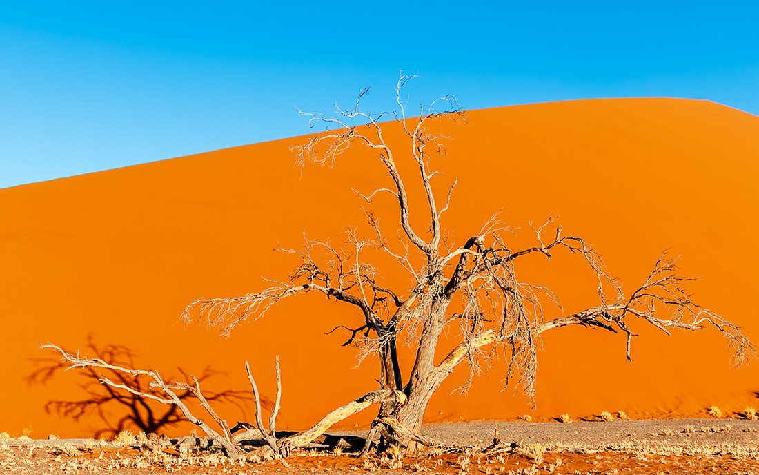 Namib Desert - Namibia  - © Kike Bullón