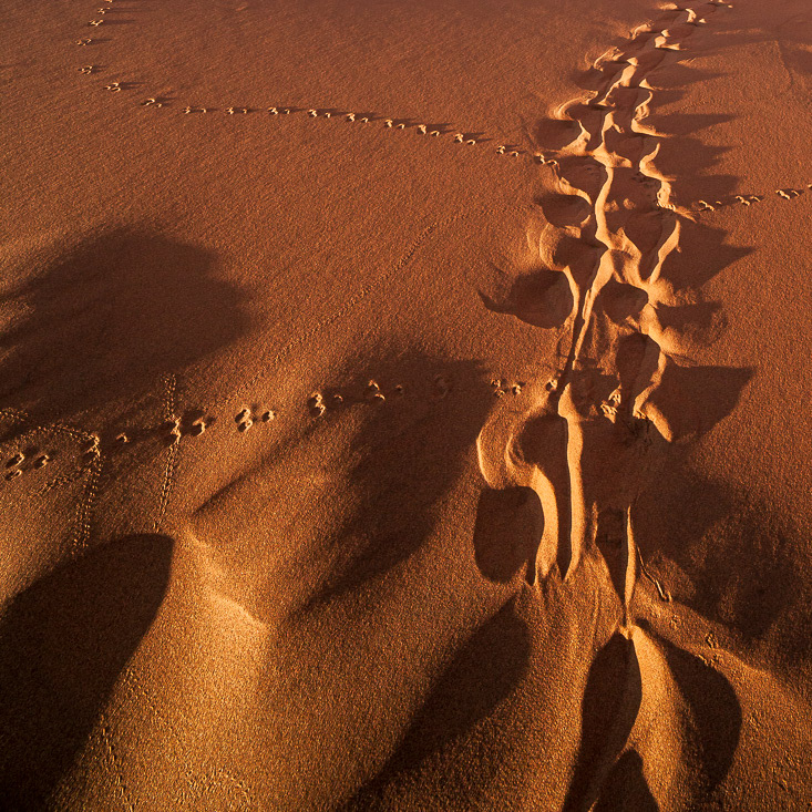 Sand and traces - Namibia - © 2013 Kike Bullón
