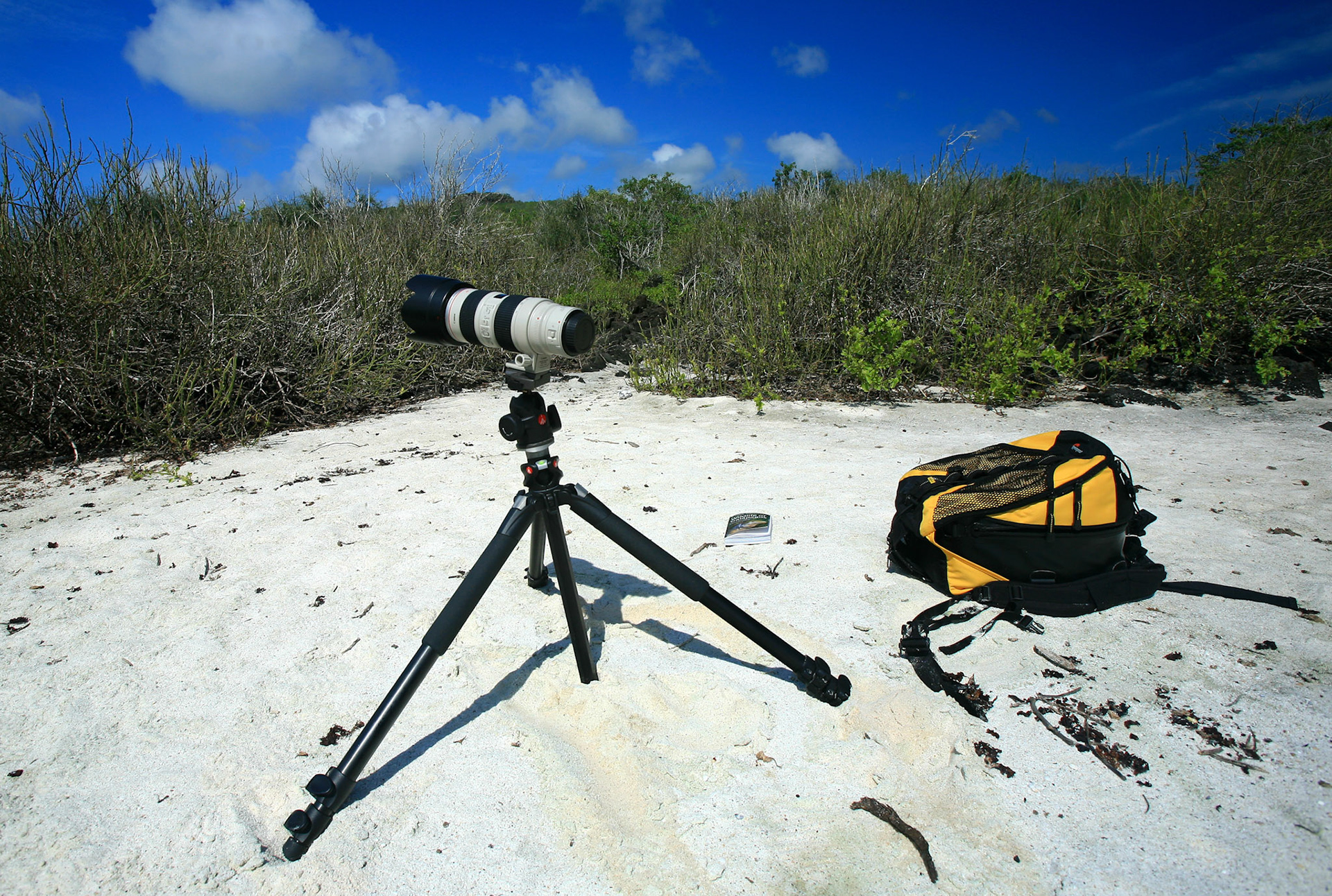 Galapagos, Espaniola