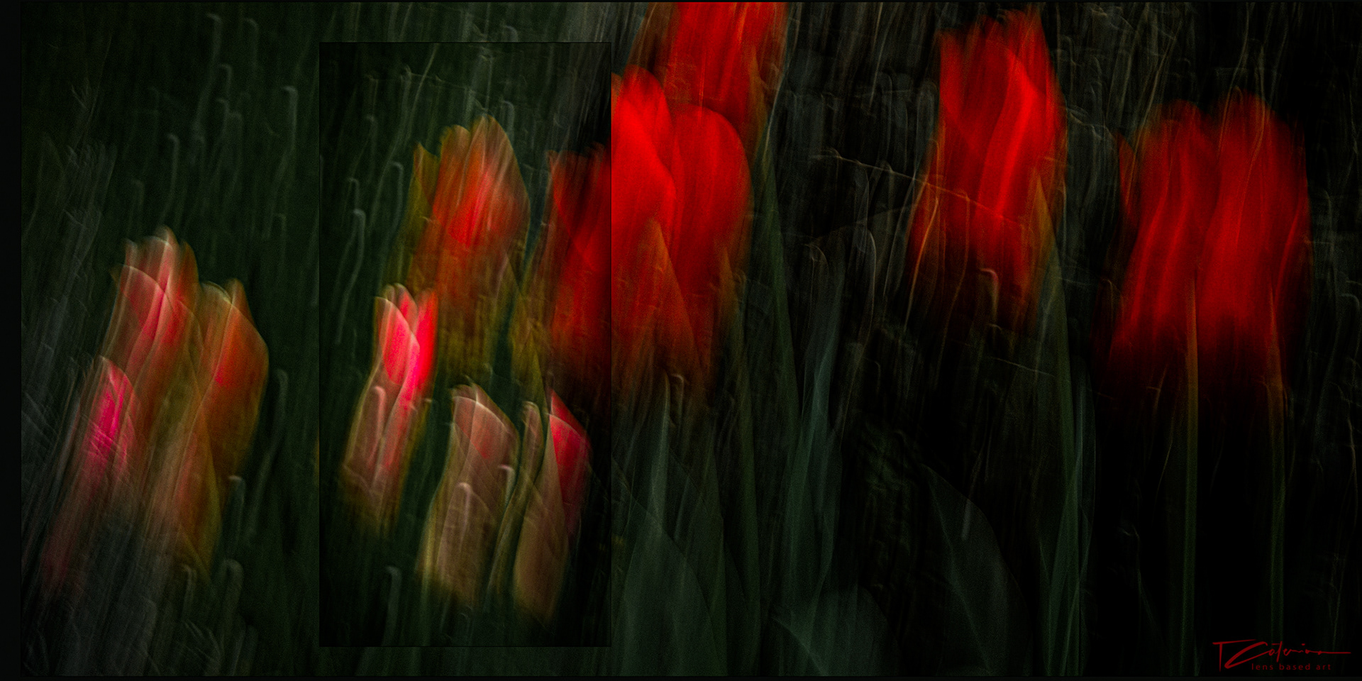 . le printemps de tous les possibles . 