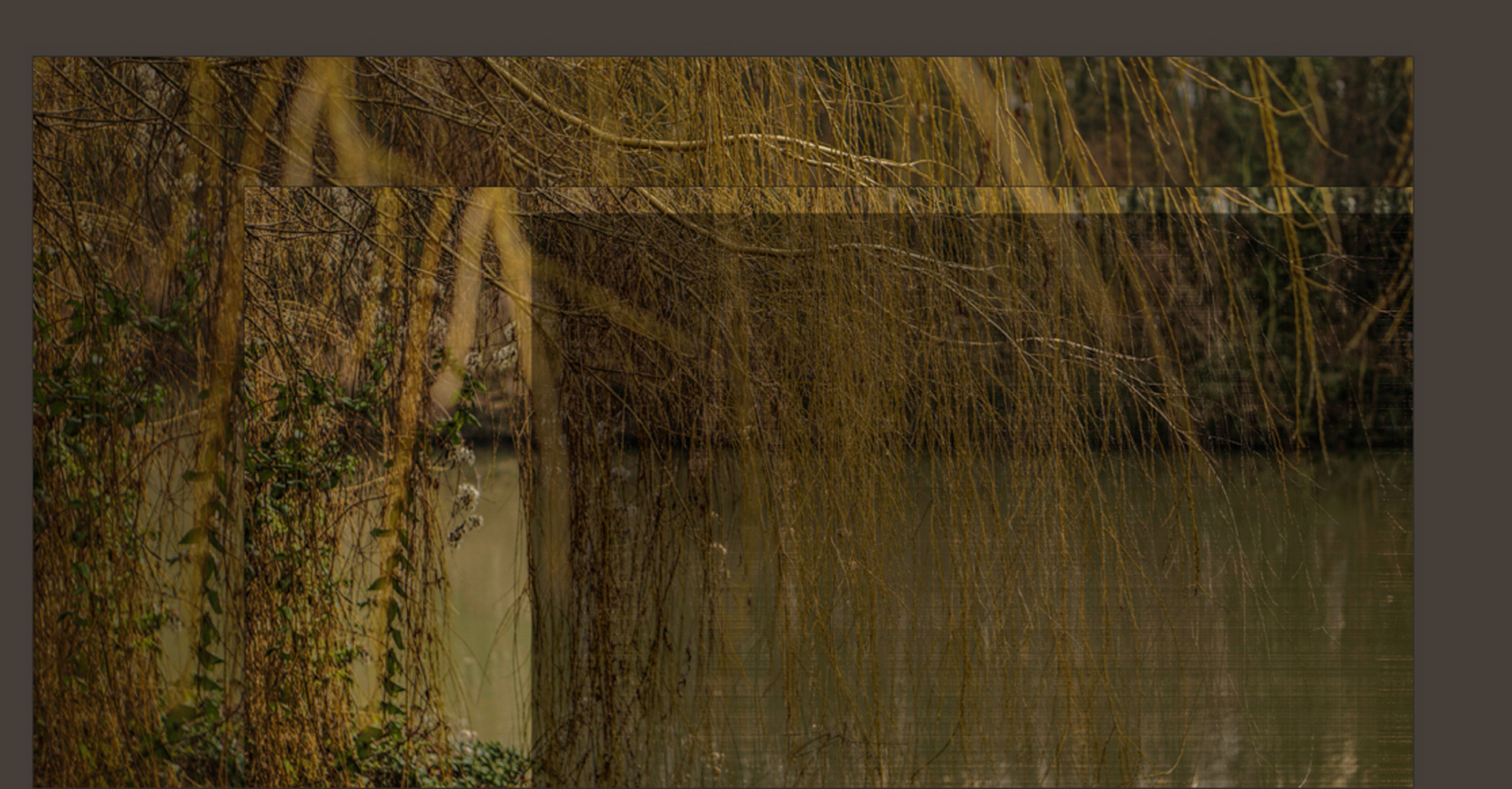 . l'écume des jours .