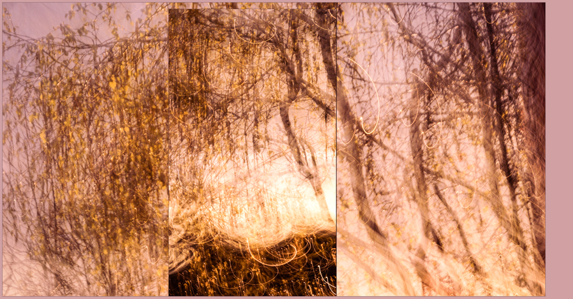 . the doors of perception .