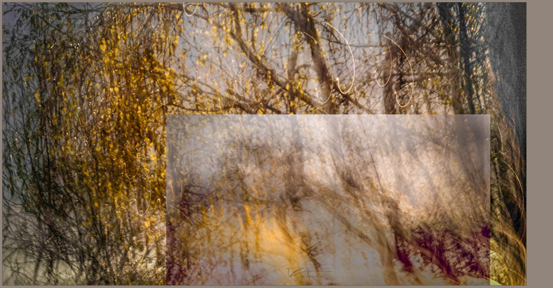 . save the last dance .