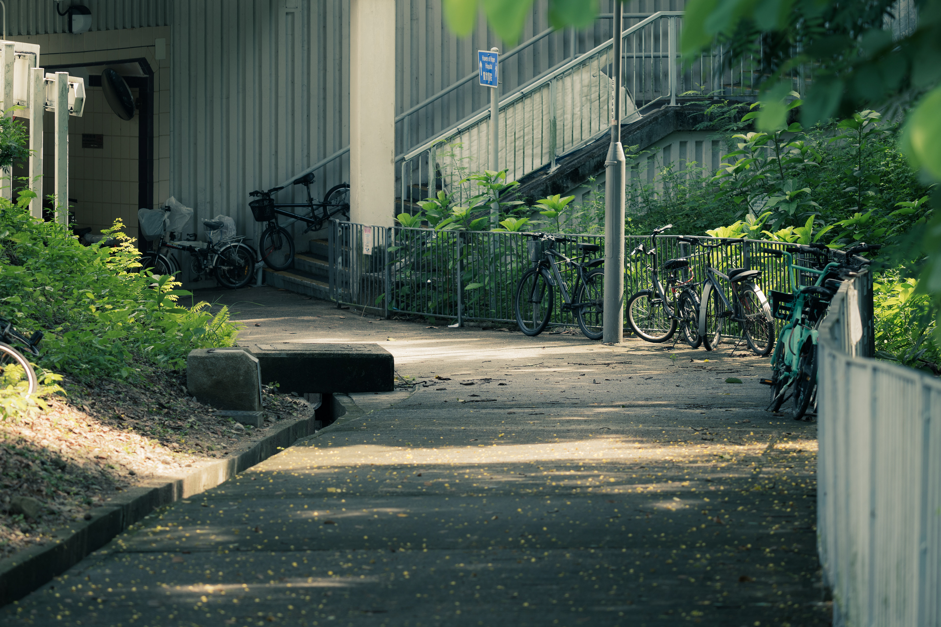 Testing my new lens, it's sharp but heavy. A monopod will be a great companion. [Panasonic LUMIX DC-S5, Sigma 150-600mm F5-6.3 DG DN OS | Sports 021]