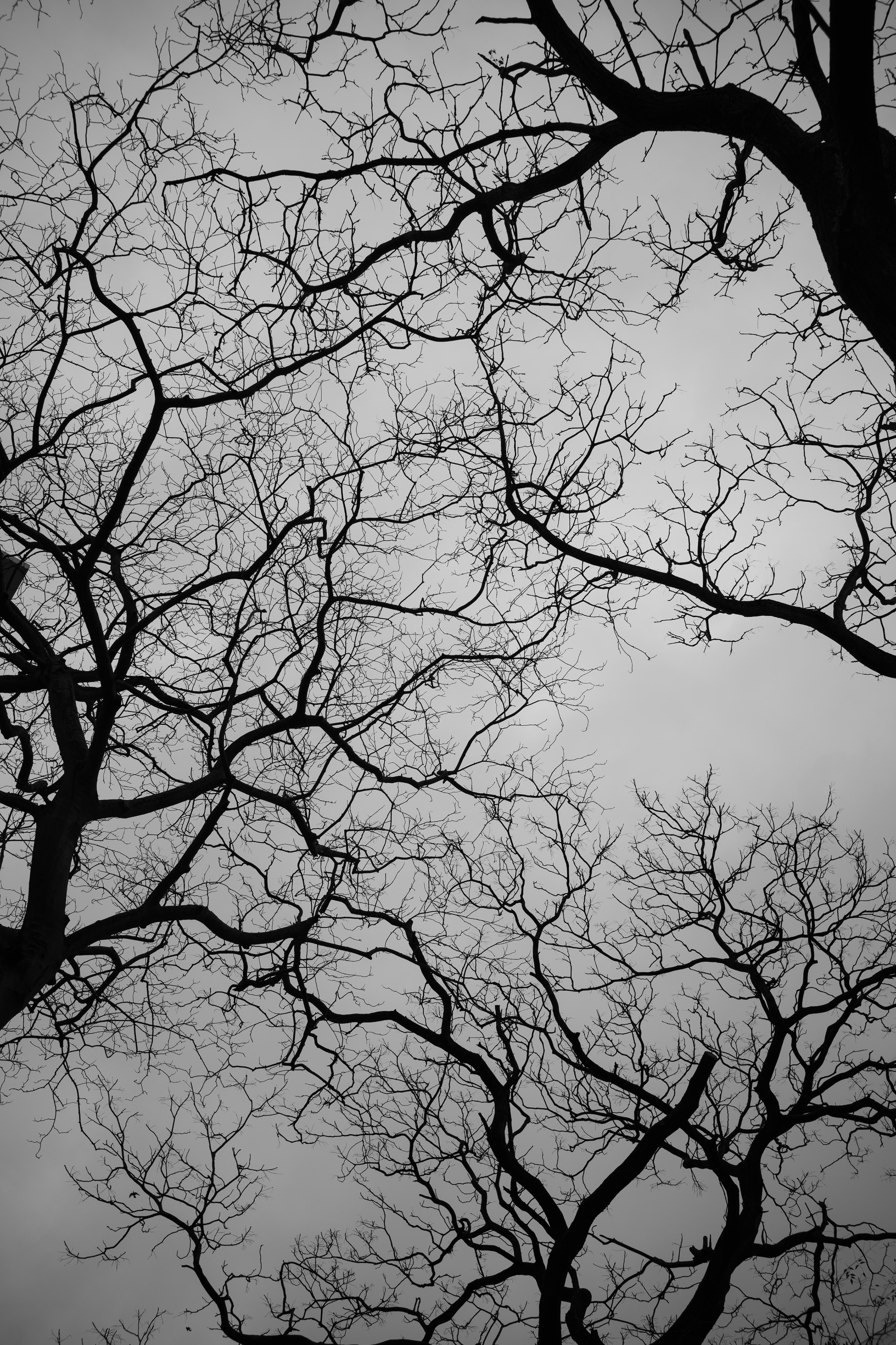 [Panasonic LUMIX DC-S5, LEICA Summicron-M 35mm f/2 ASPH]