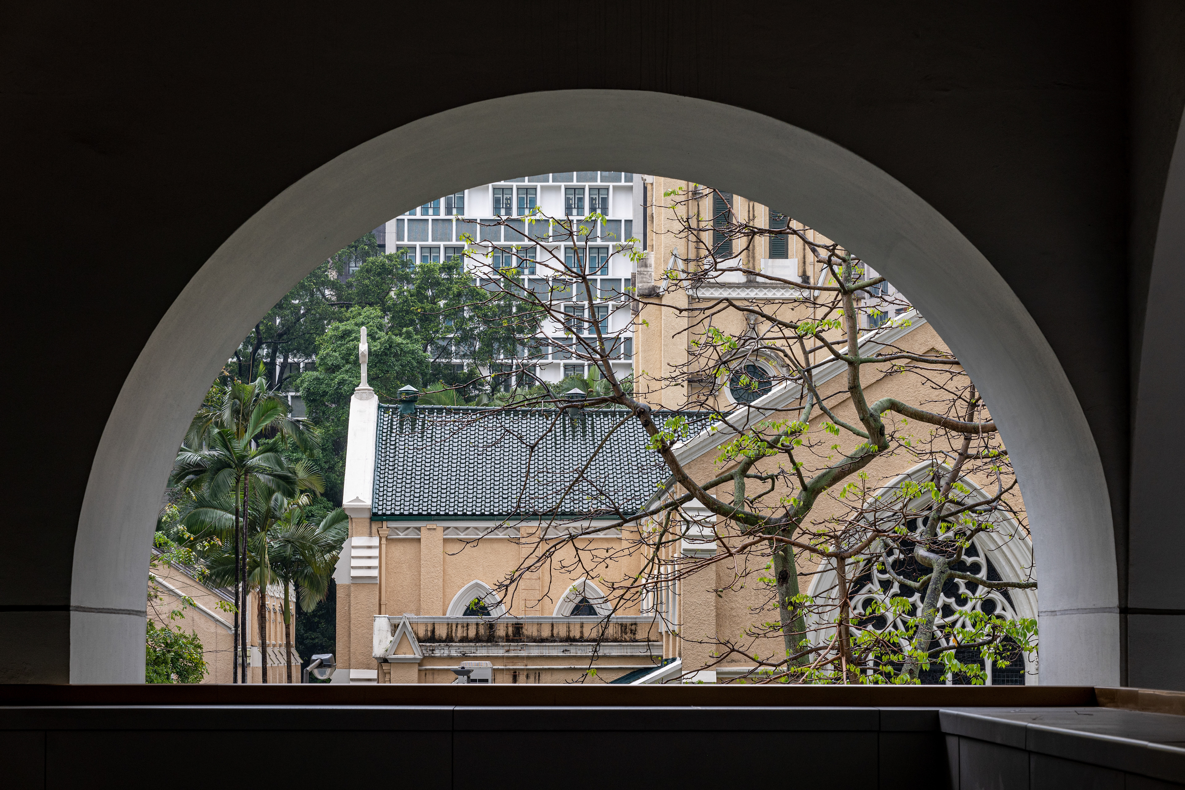 [Panasonic LUMIX DC-S5, Sigma 85mm F1.4 DG DN | Art 020]