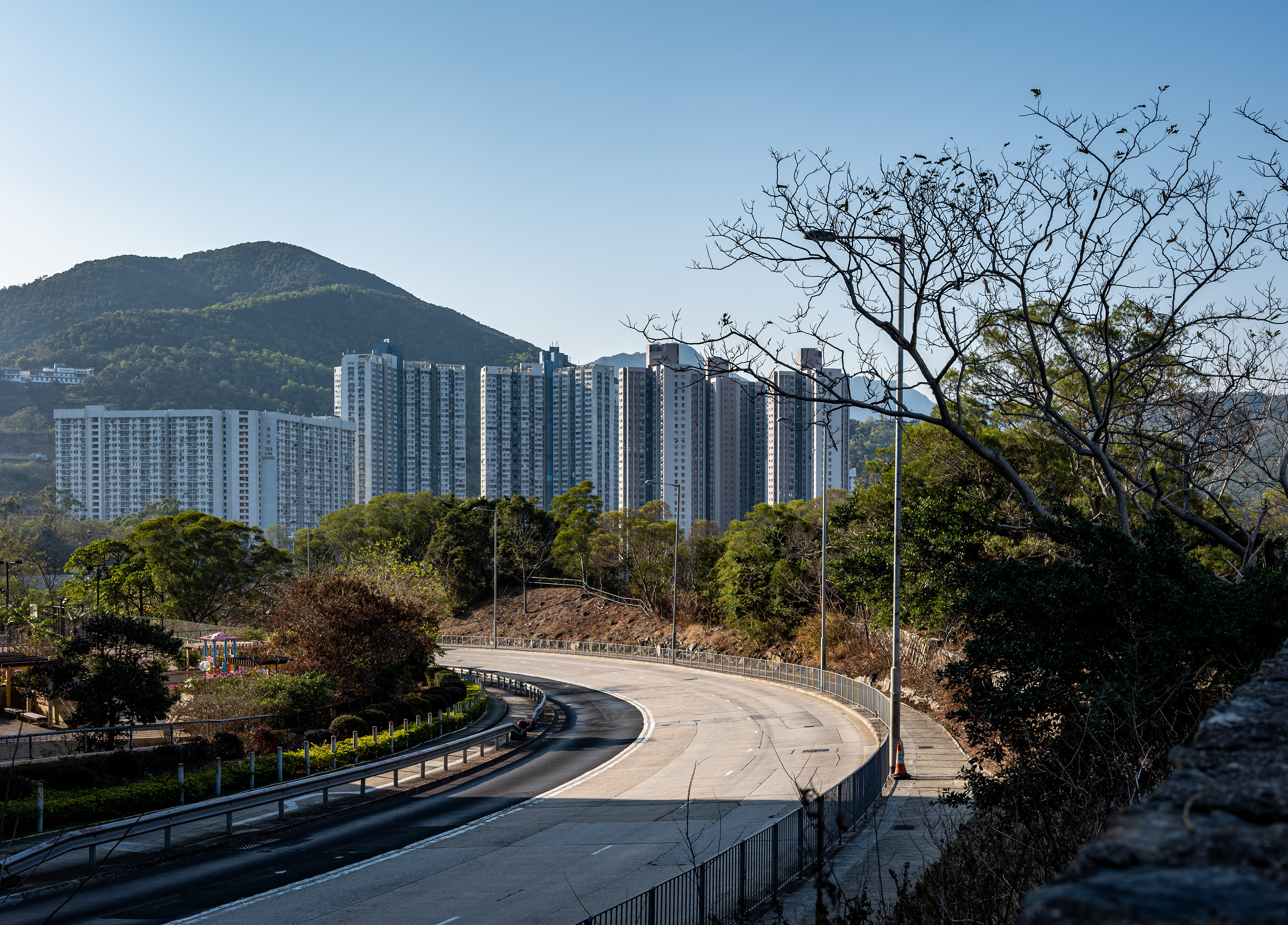 A walk to the hill [Panasonic LUMIX DC-S5, Sigma 35mm F/2 DG DN | Contemporary 020]