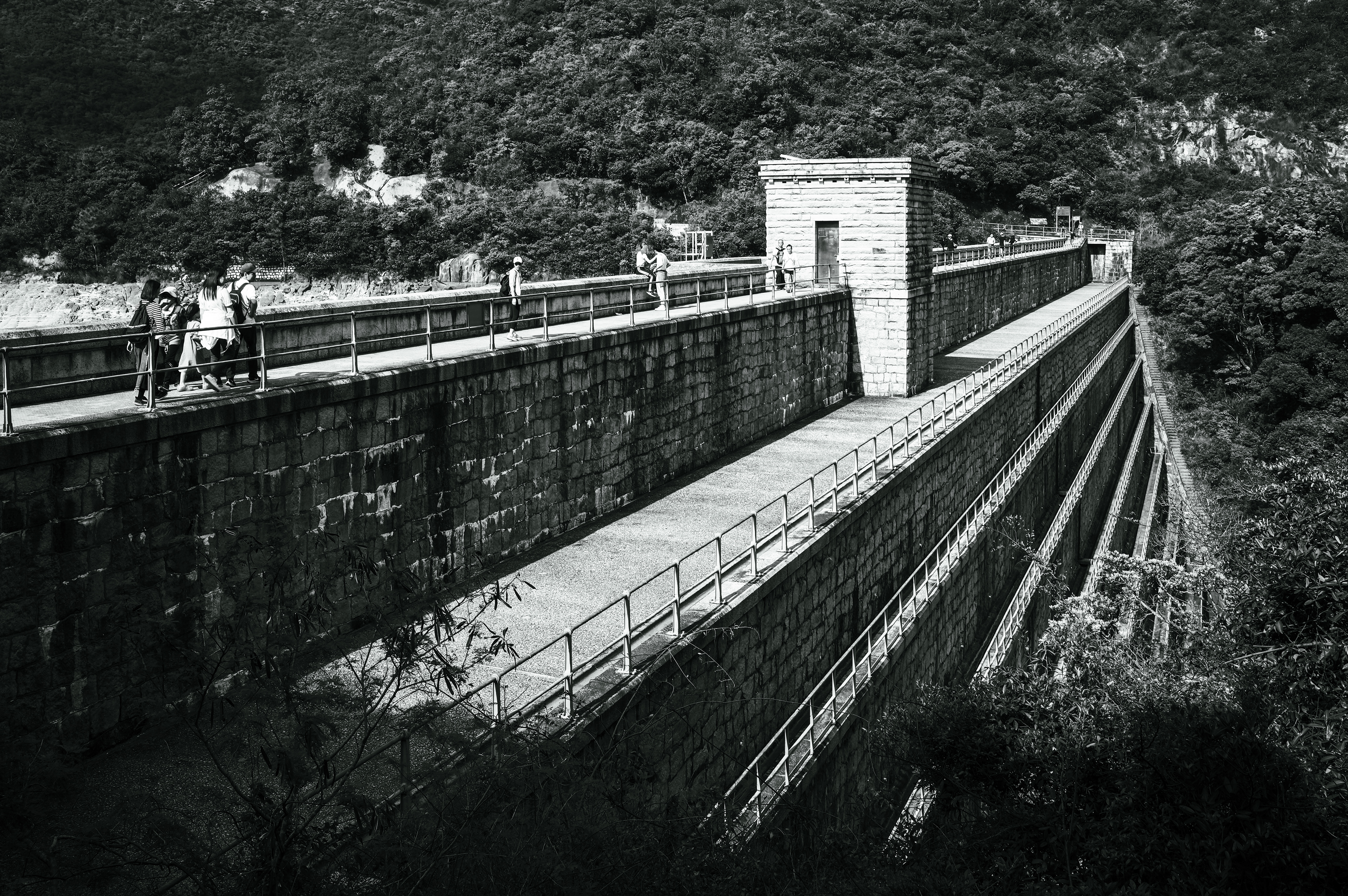 A walk to the Tai Tam Reservoir [LEICA M11, Voigtlander NOKTON Vintage Line 35mm f/1.5 Aspherical]