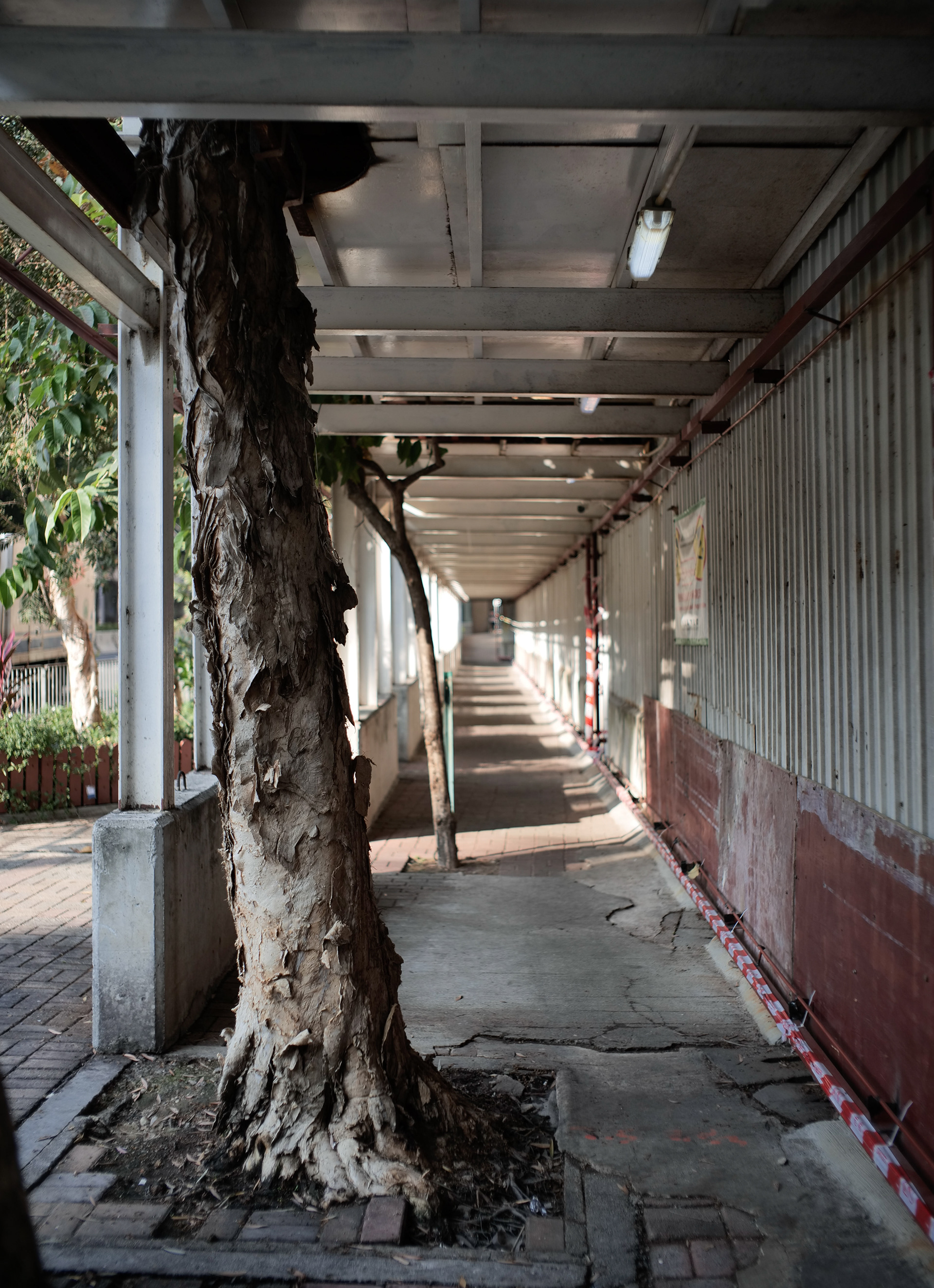 [Panasonic LUMIX DC-S5, LEICA Summicron-M 35mm f/2 ASPH]