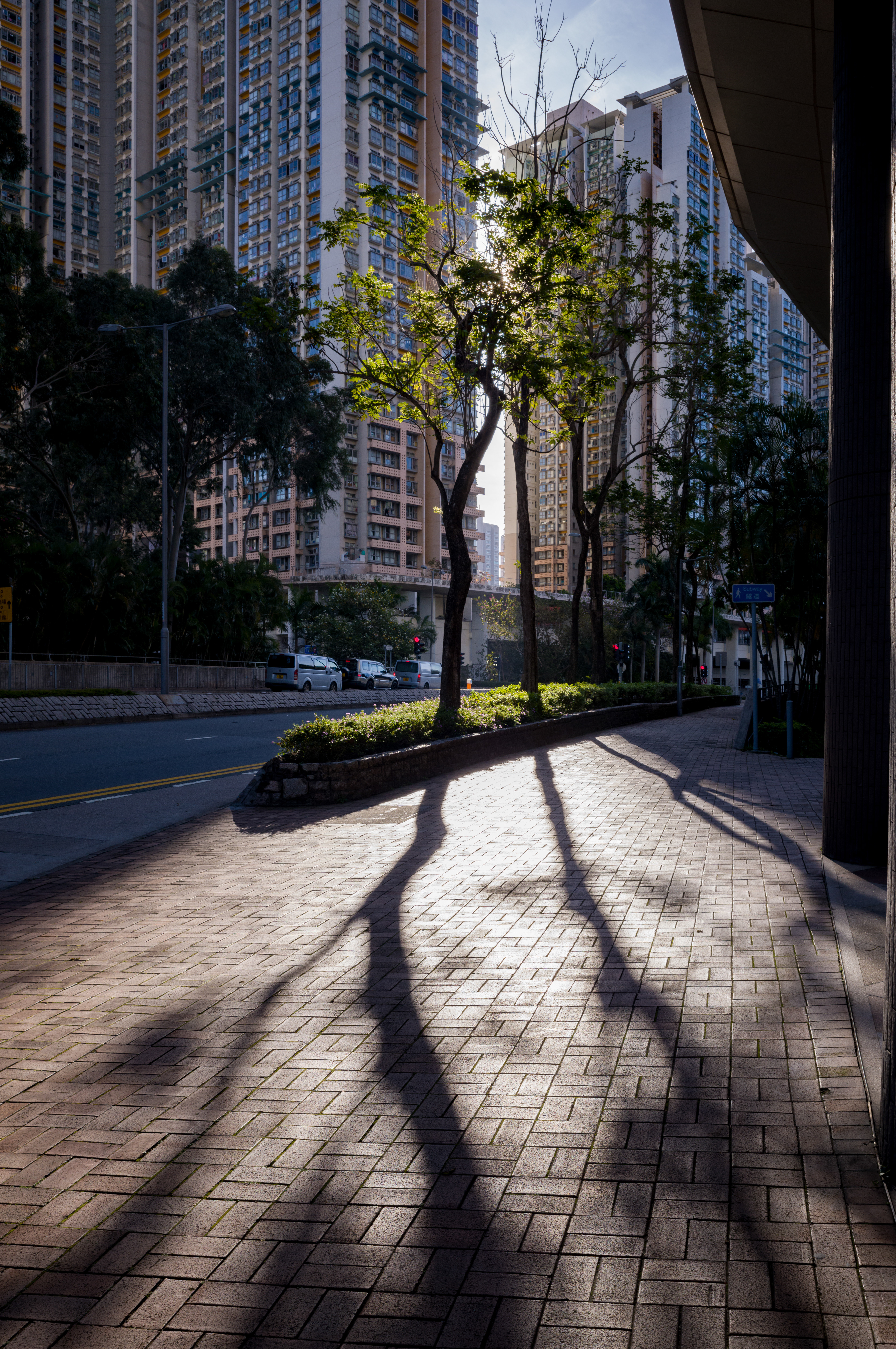 [LEICA M11, LEICA Elmarit-M 24mm f/2.8 ASPH]