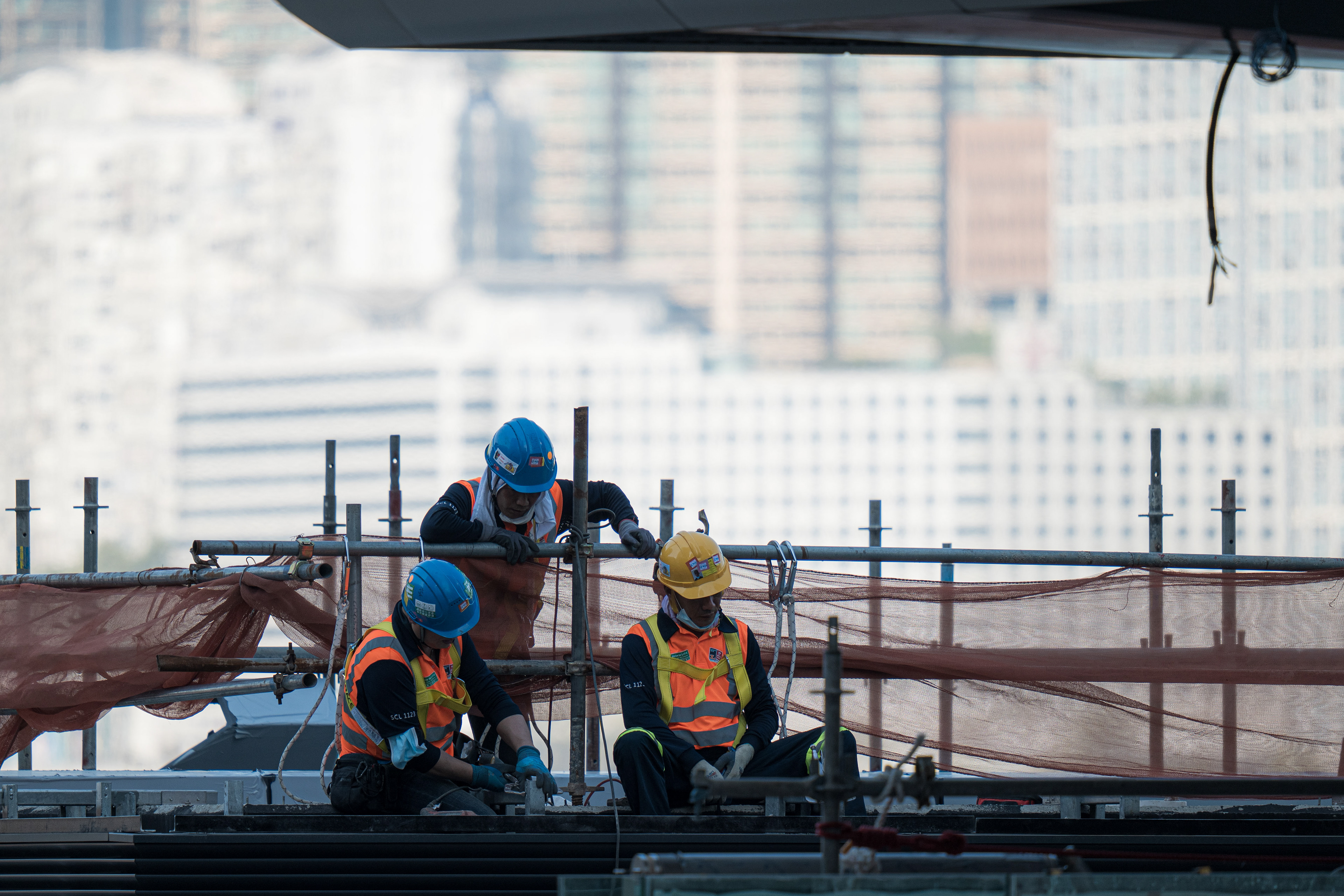 Working at Height [Panasonic LUMIX DC-S5, Sigma 150-600mm F5-6.3 DG DN OS | Sports 021]