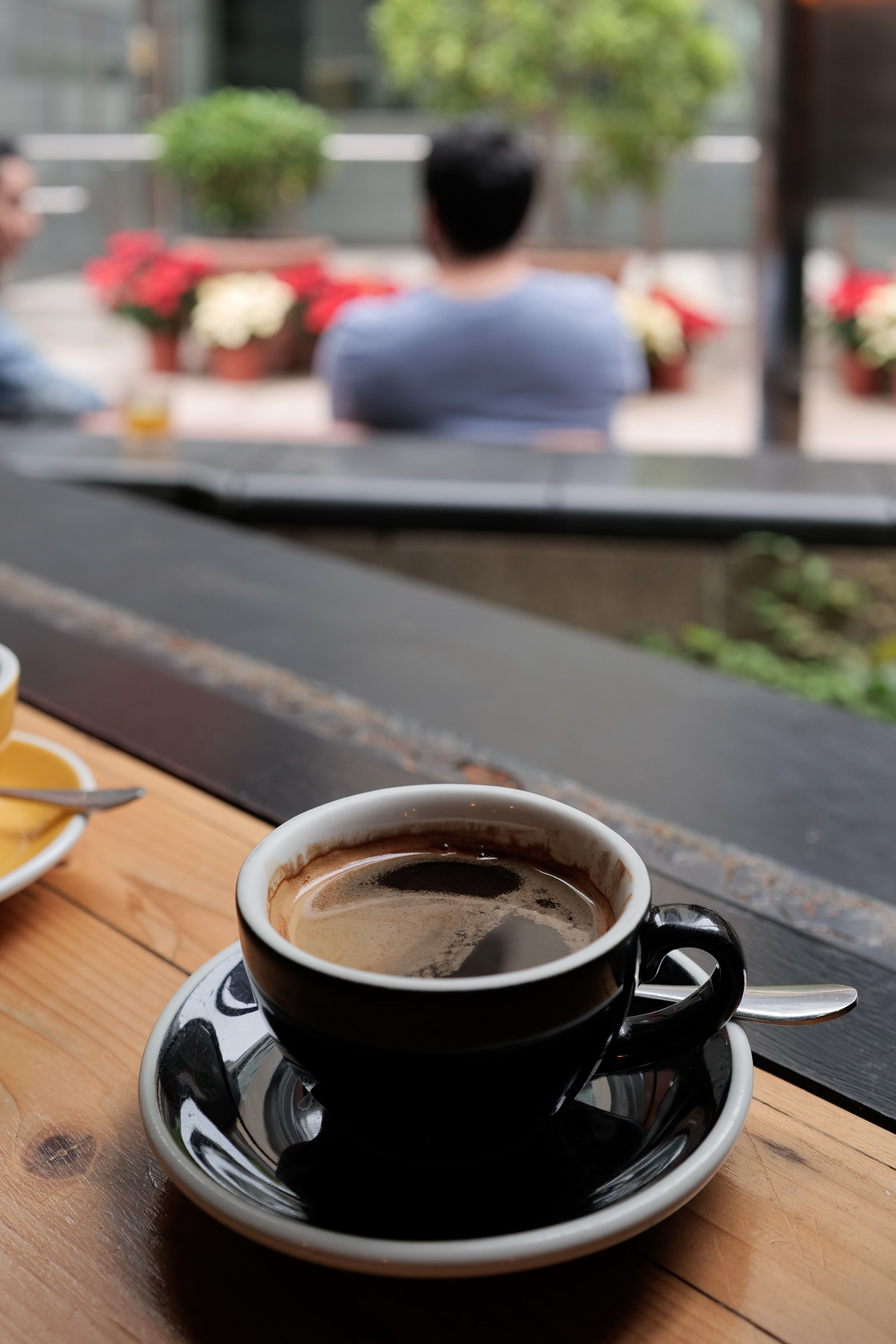 [Panasonic LUMIX DC-S5, Sigma 35mm F/2 DG DN | Contemporary 020]