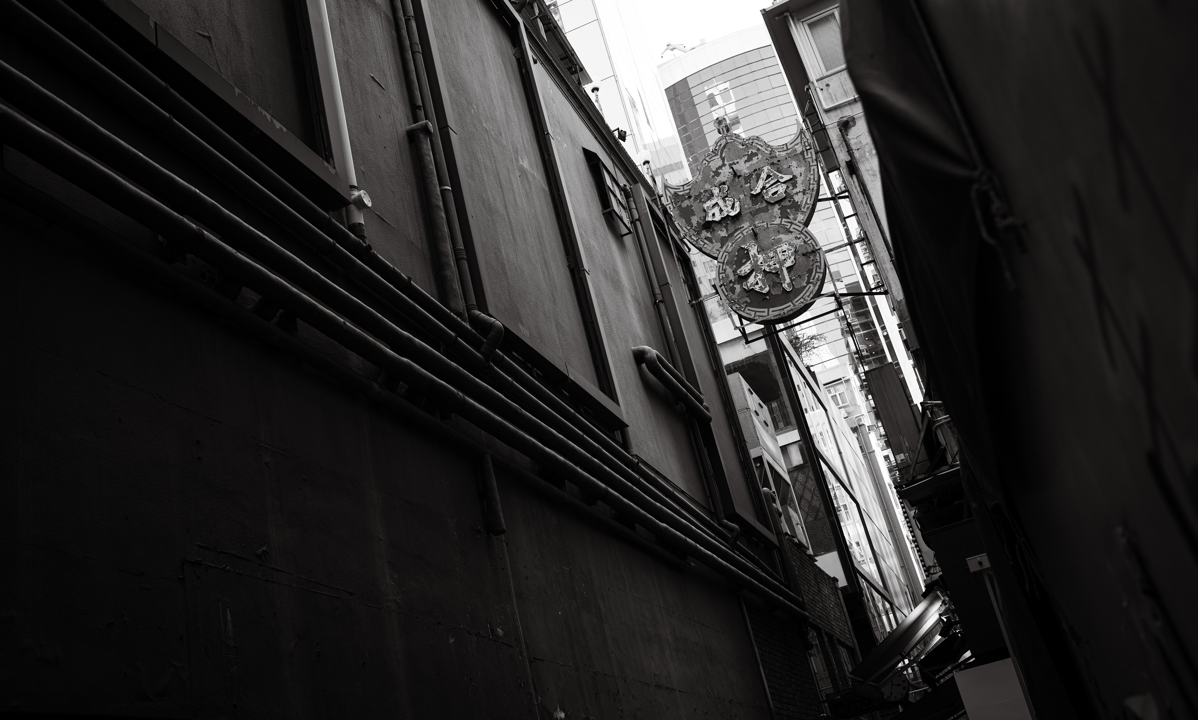 [LEICA M11, Voigtlander NOKTON Vintage Line 35mm f/1.5 Aspherical]