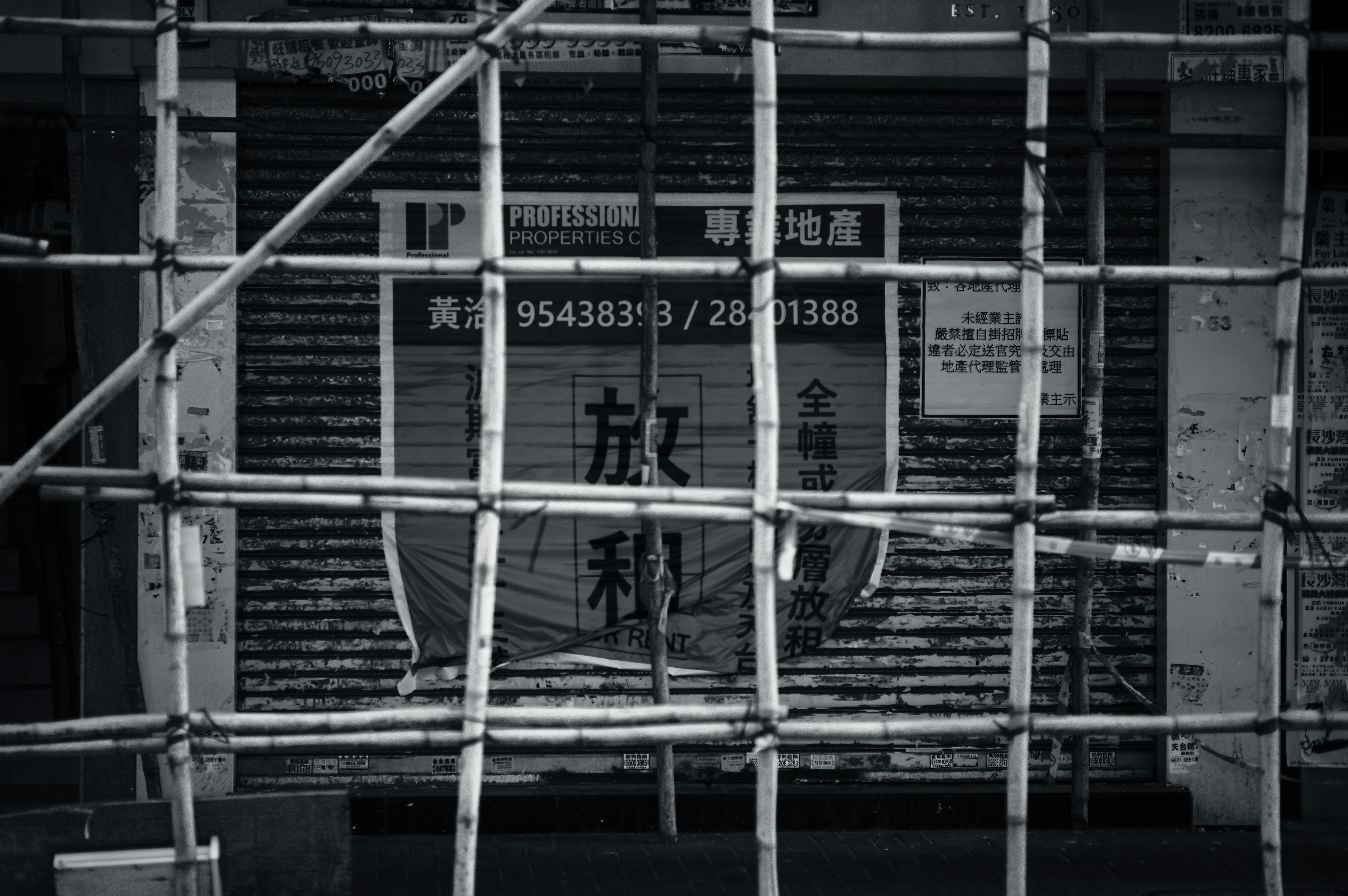 [LEICA M11, Voigtlander Nokton 75mm f/1.5 Aspherical]