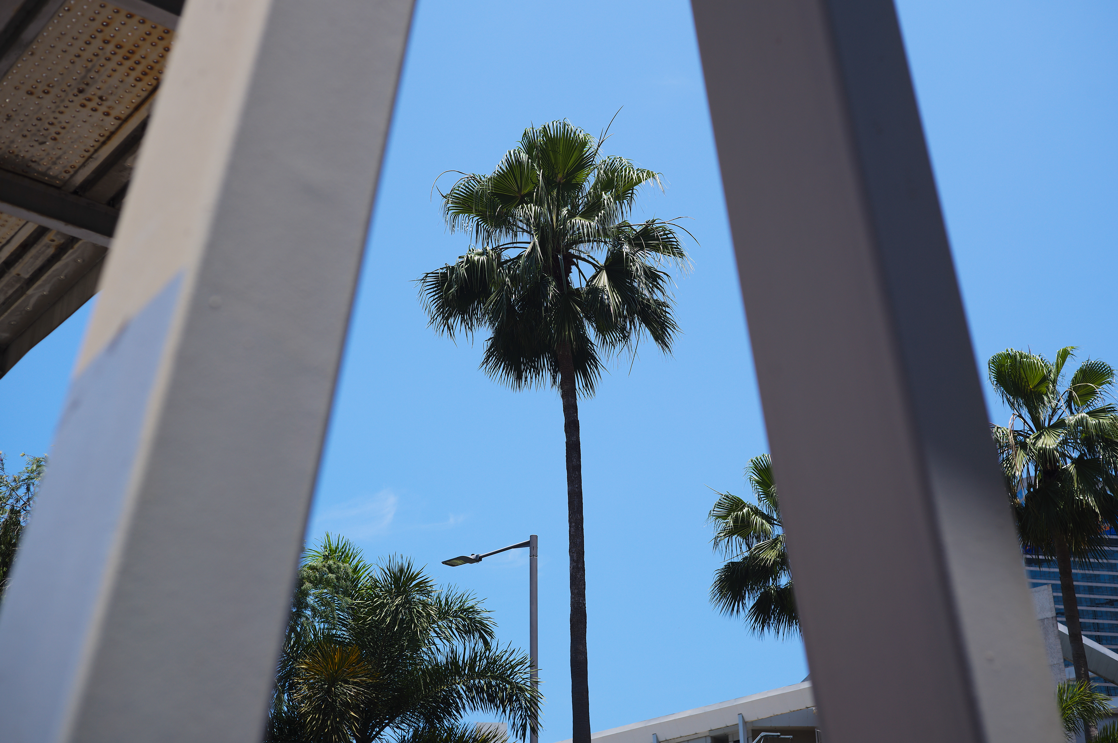 [LEICA M11, LEICA SUMMICRON 50mm f/2 Rigid]