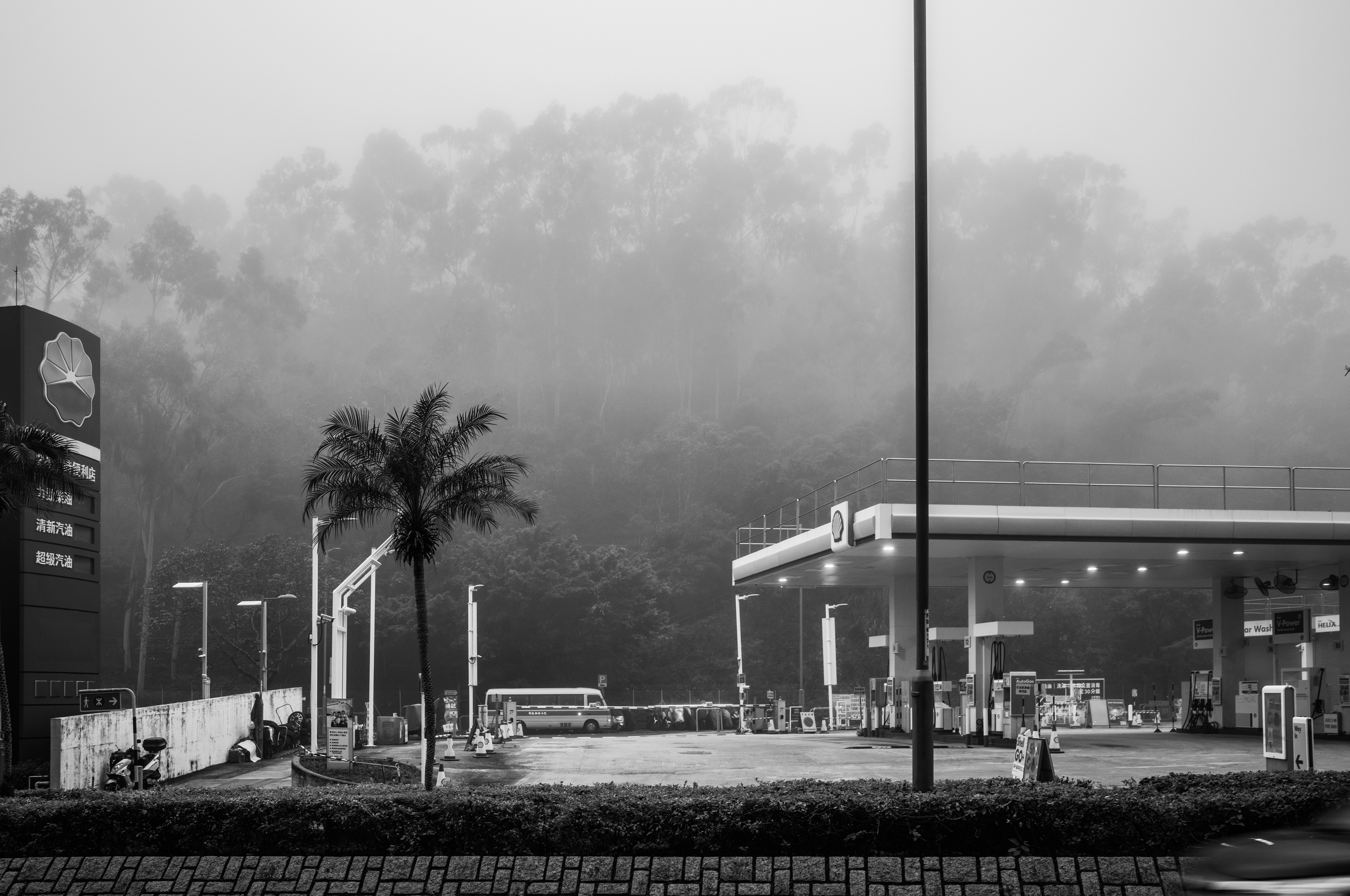 Foggy day [LEICA M11, Voigtlander NOKTON Vintage Line 35mm f/1.5 Aspherical]