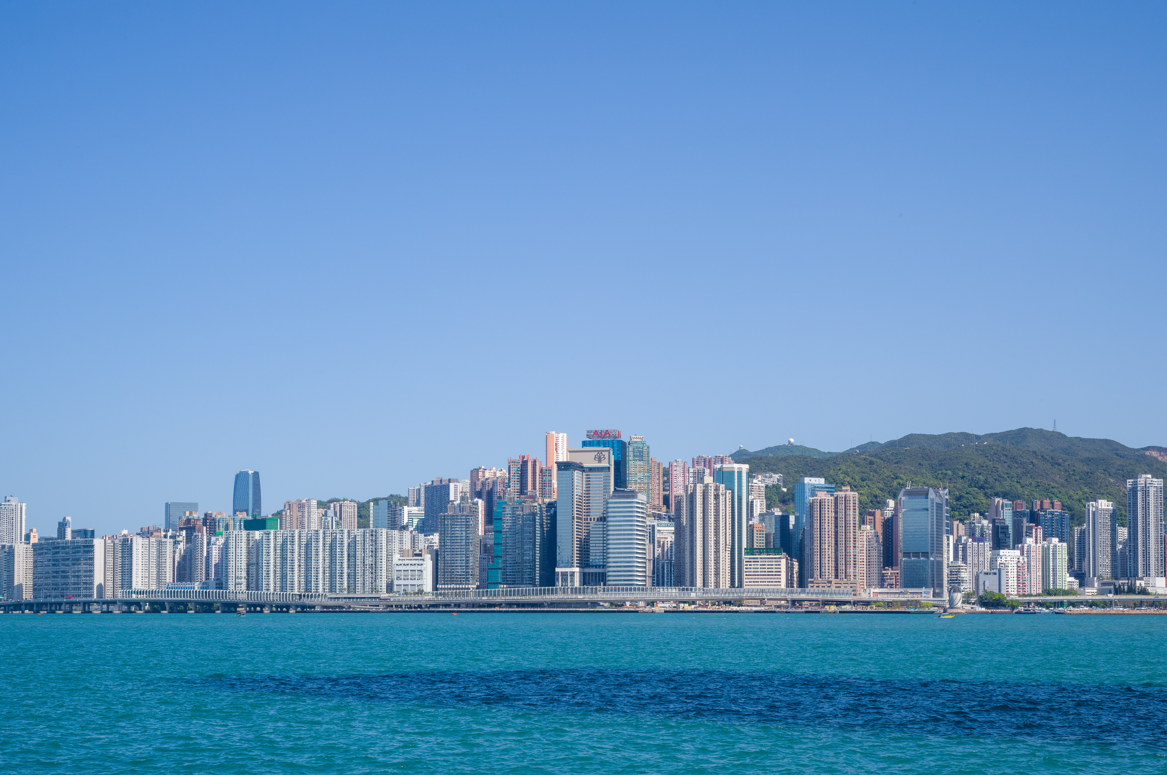 [LEICA M11, LEICA SUMMICRON 50mm f/2 Rigid]