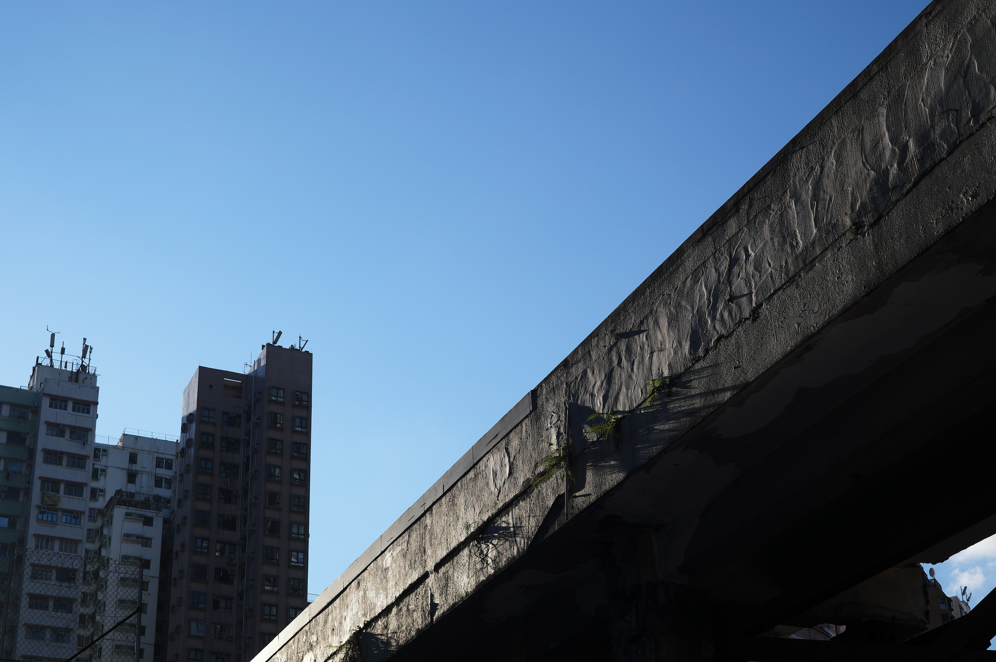 [LEICA M11, LEICA SUMMICRON 50mm f/2 Rigid]