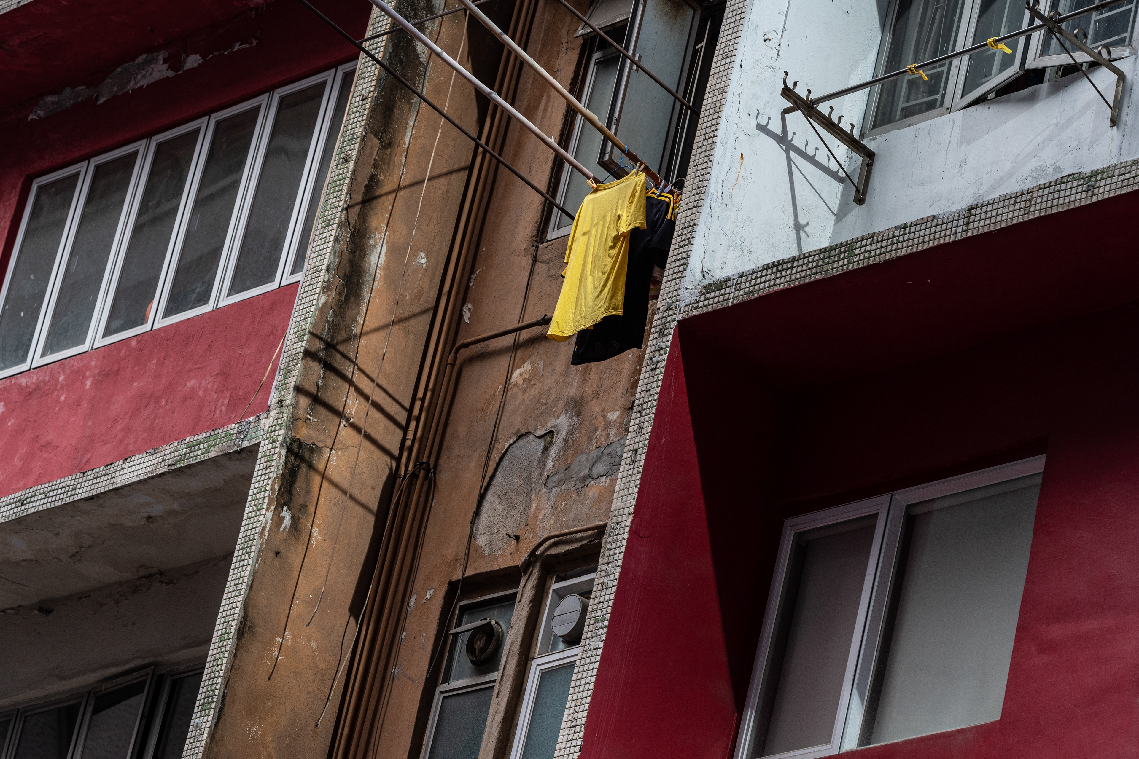 Panasonic Lumix DC-S5, Canon EF70-200mm f/2.8L IS II USM, Sigma MC-21