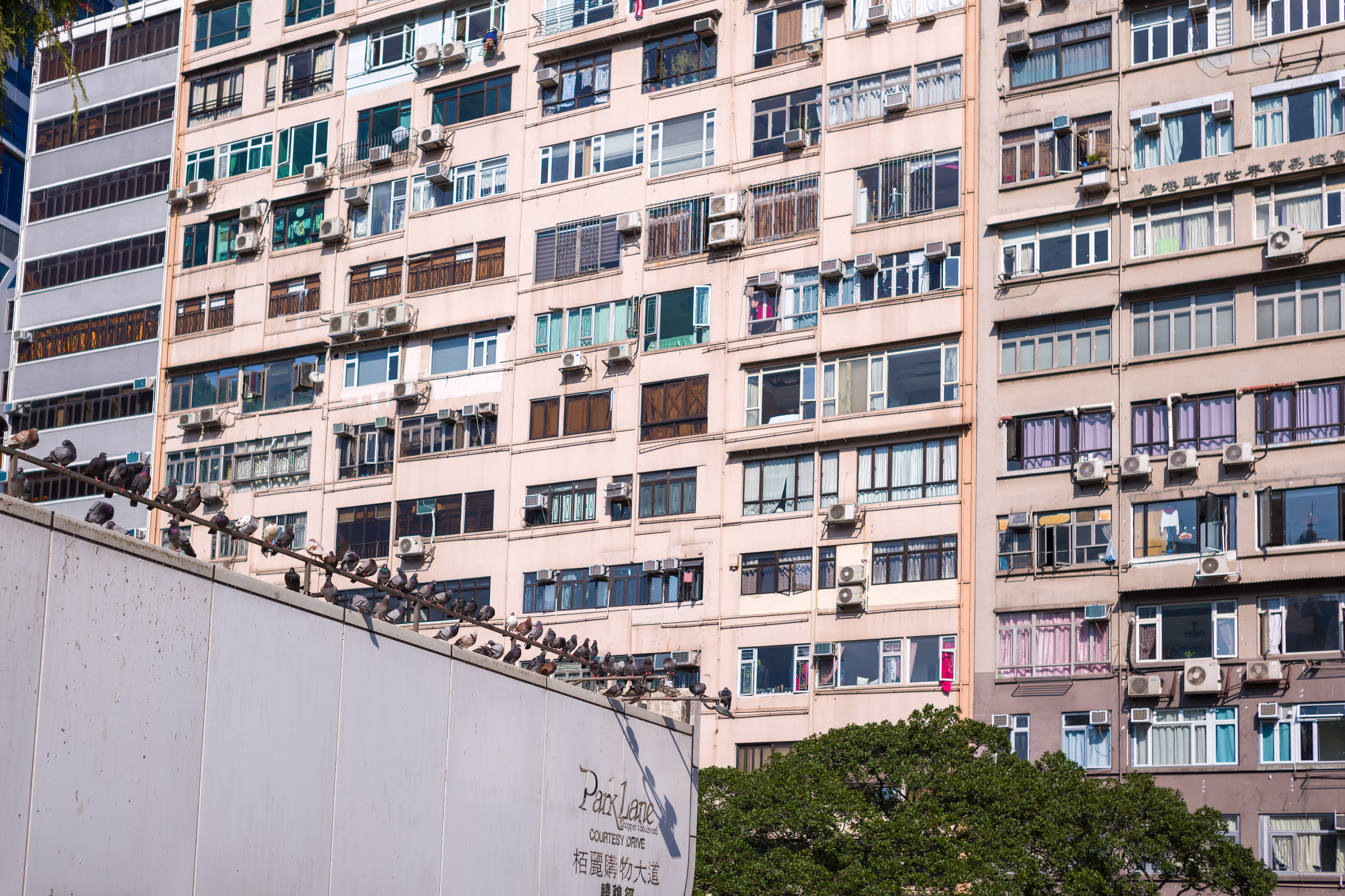 [LEICA M11, LEICA Summicron-M 35mm f/2 ASPH]