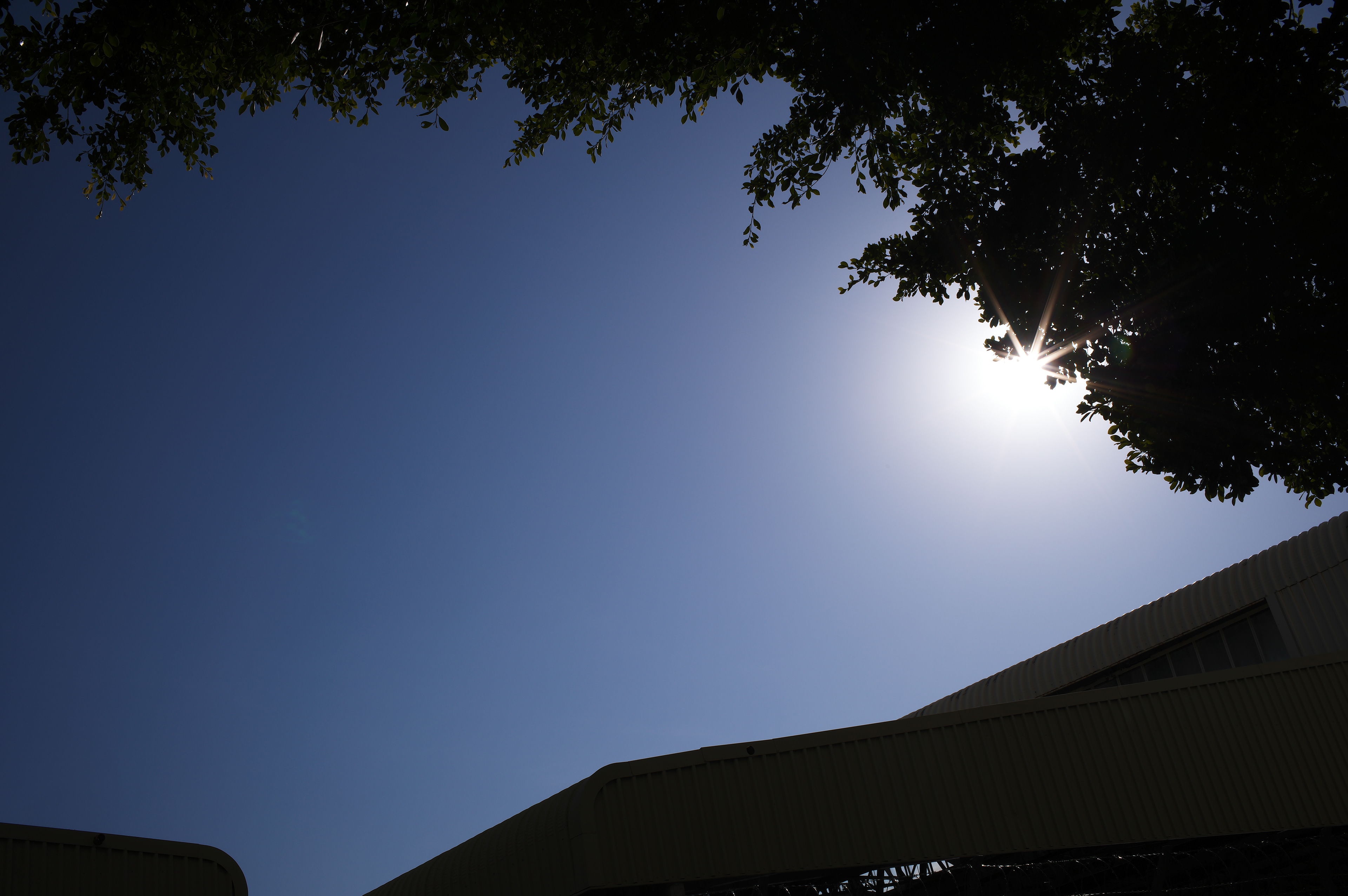 Winter Blue [LEICA M11, LEICA Summicron-M 35mm f/2 ASPH]