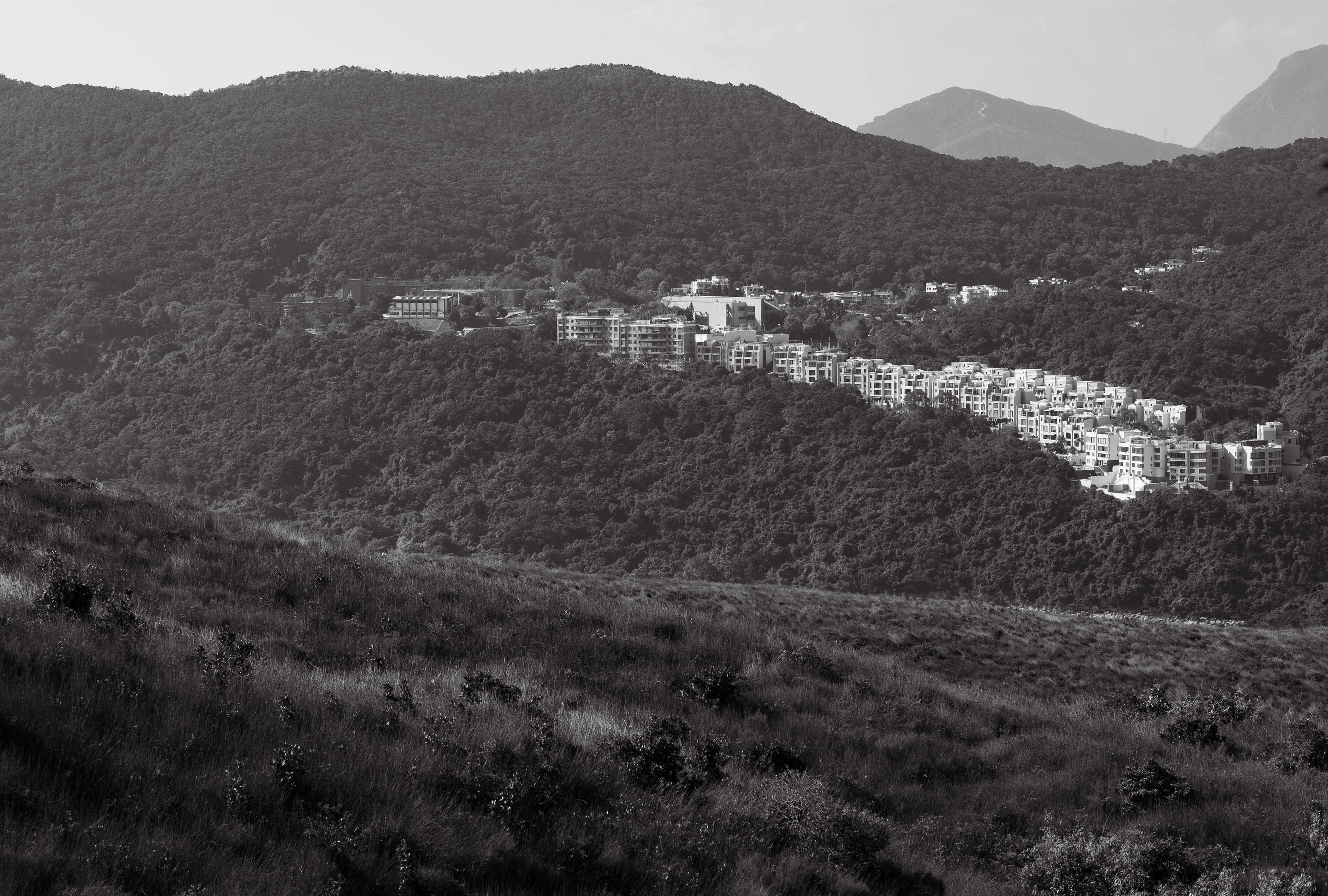 [Panasonic LUMIX DC-S5, Sigma 24-70mm F2.8 DG DN | Art 019]