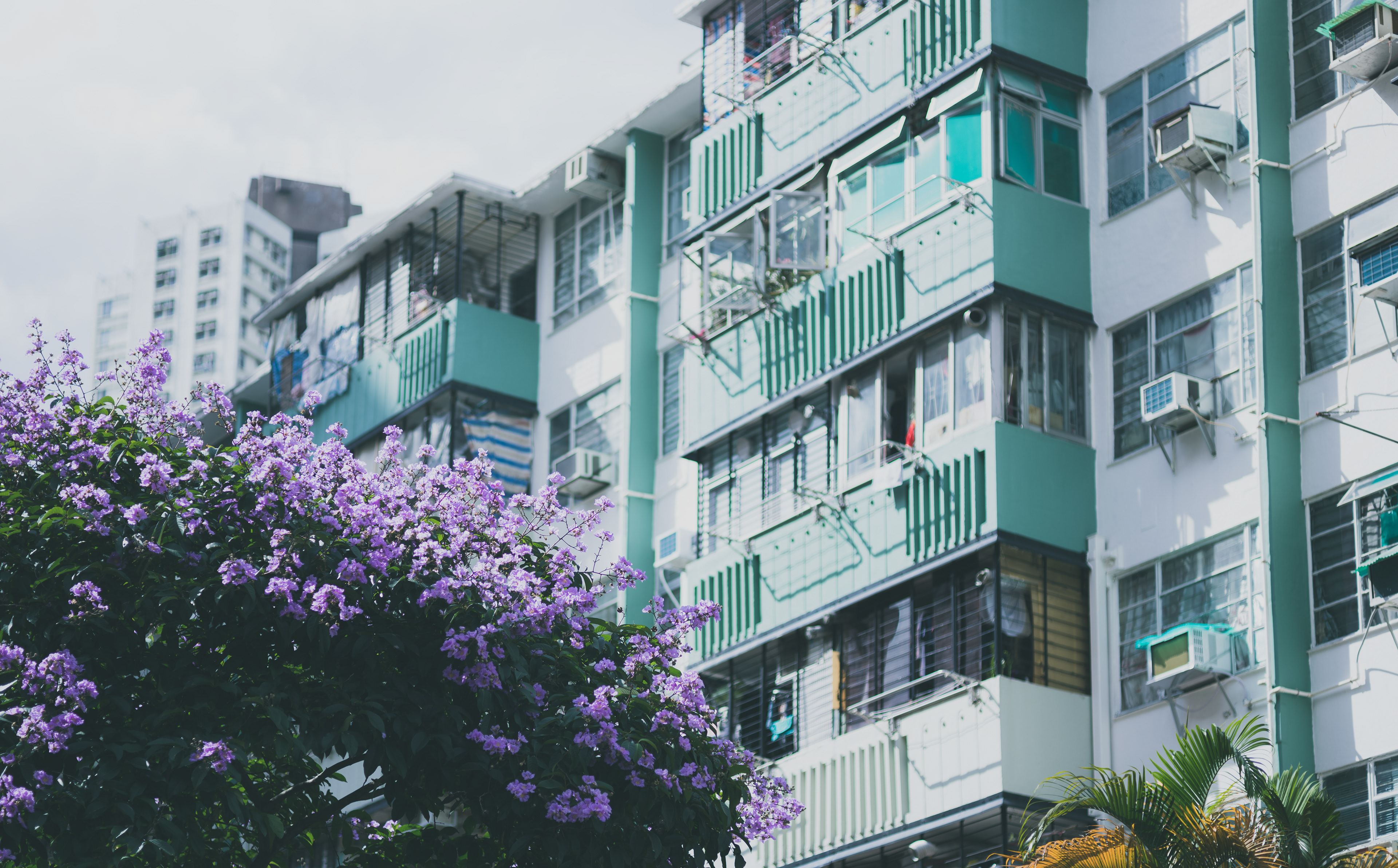 Kwun Tong [LEICA M11, Voigtlander Nokton 75mm f/1.5 Aspherical]