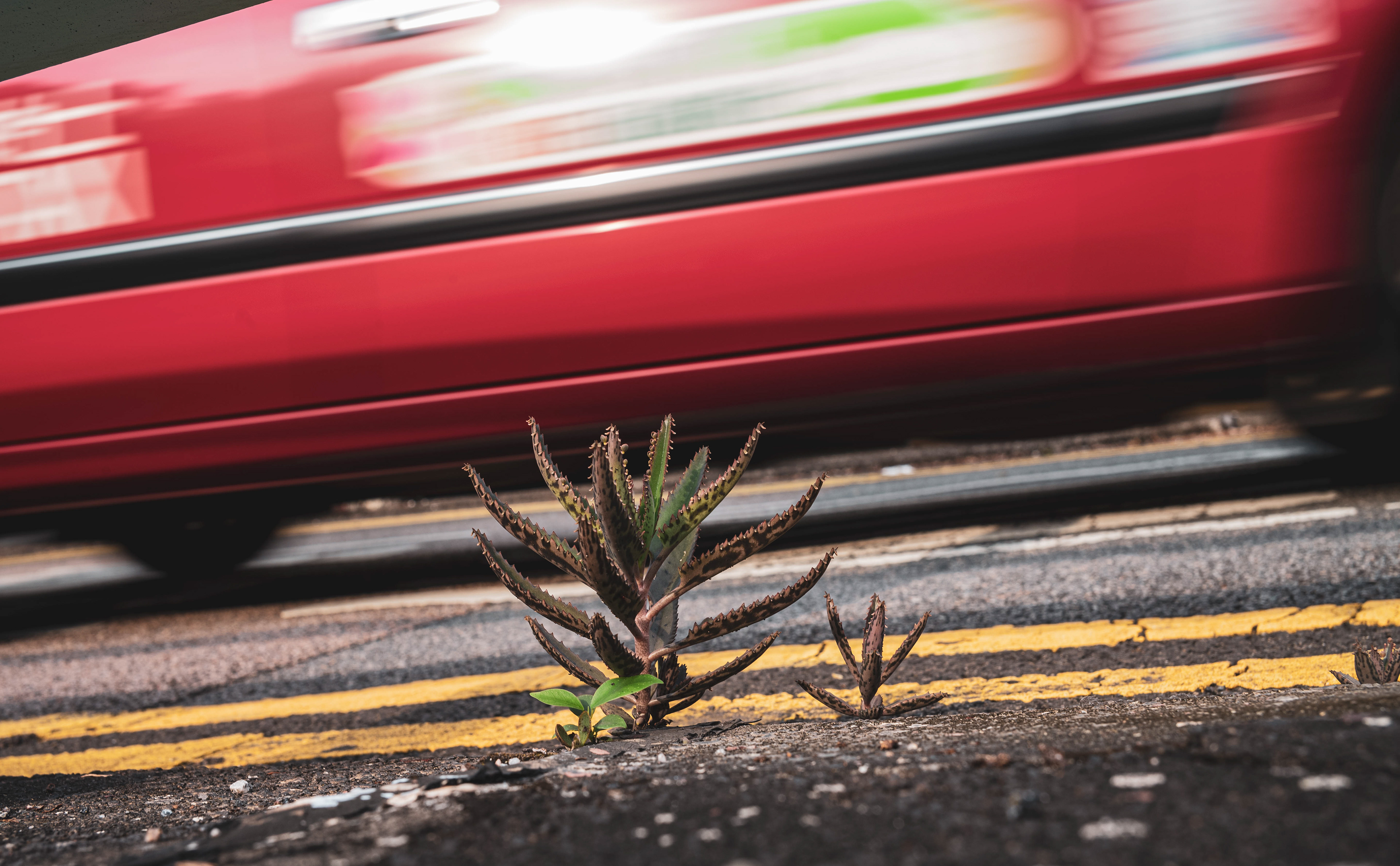 Little Family [LEICA M10, LEICA Summicron-M 35mm f/2 ASPH]