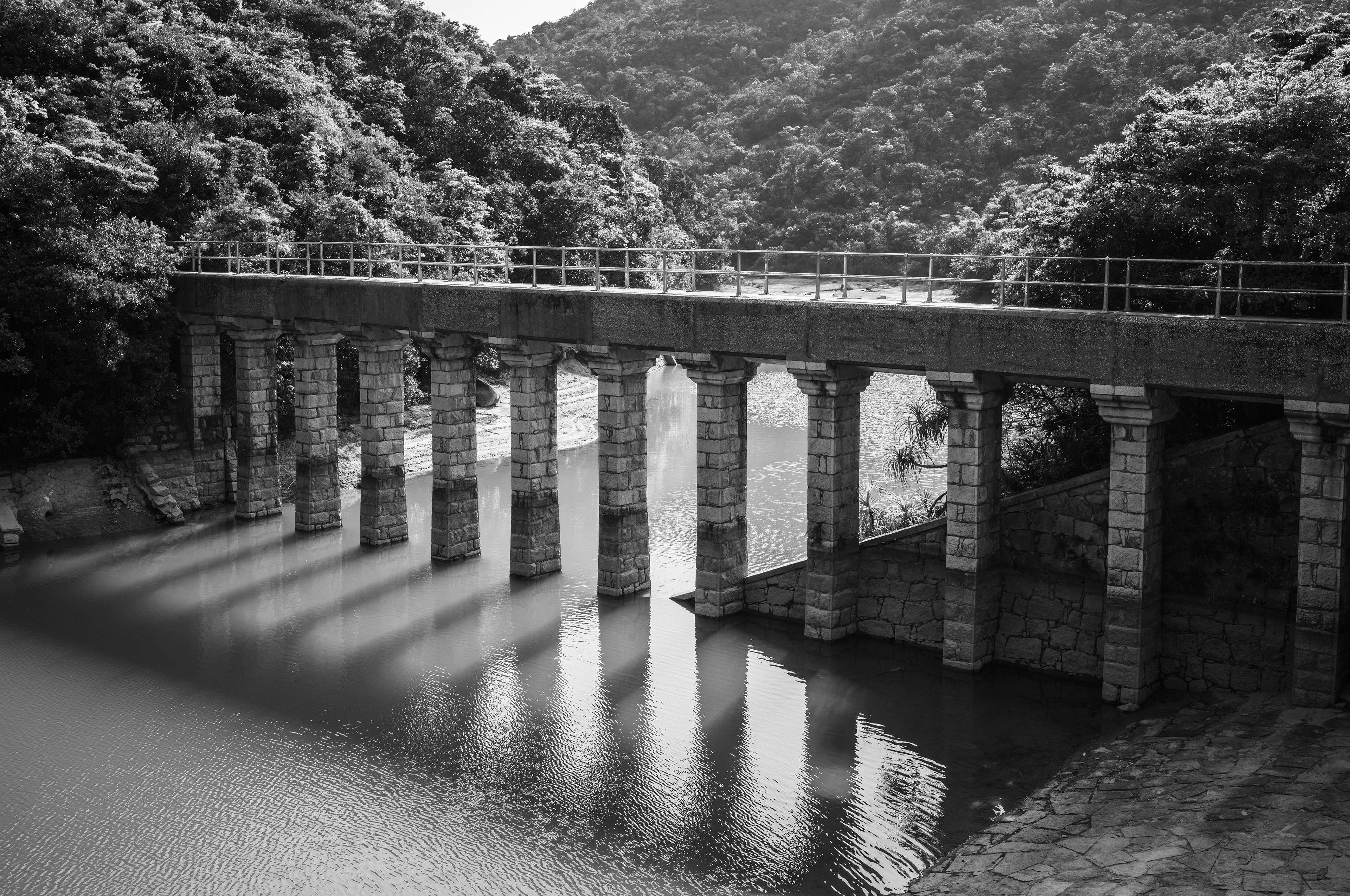A walk to the Tai Tam Reservoir [LEICA M11, Voigtlander NOKTON Vintage Line 35mm f/1.5 Aspherical]