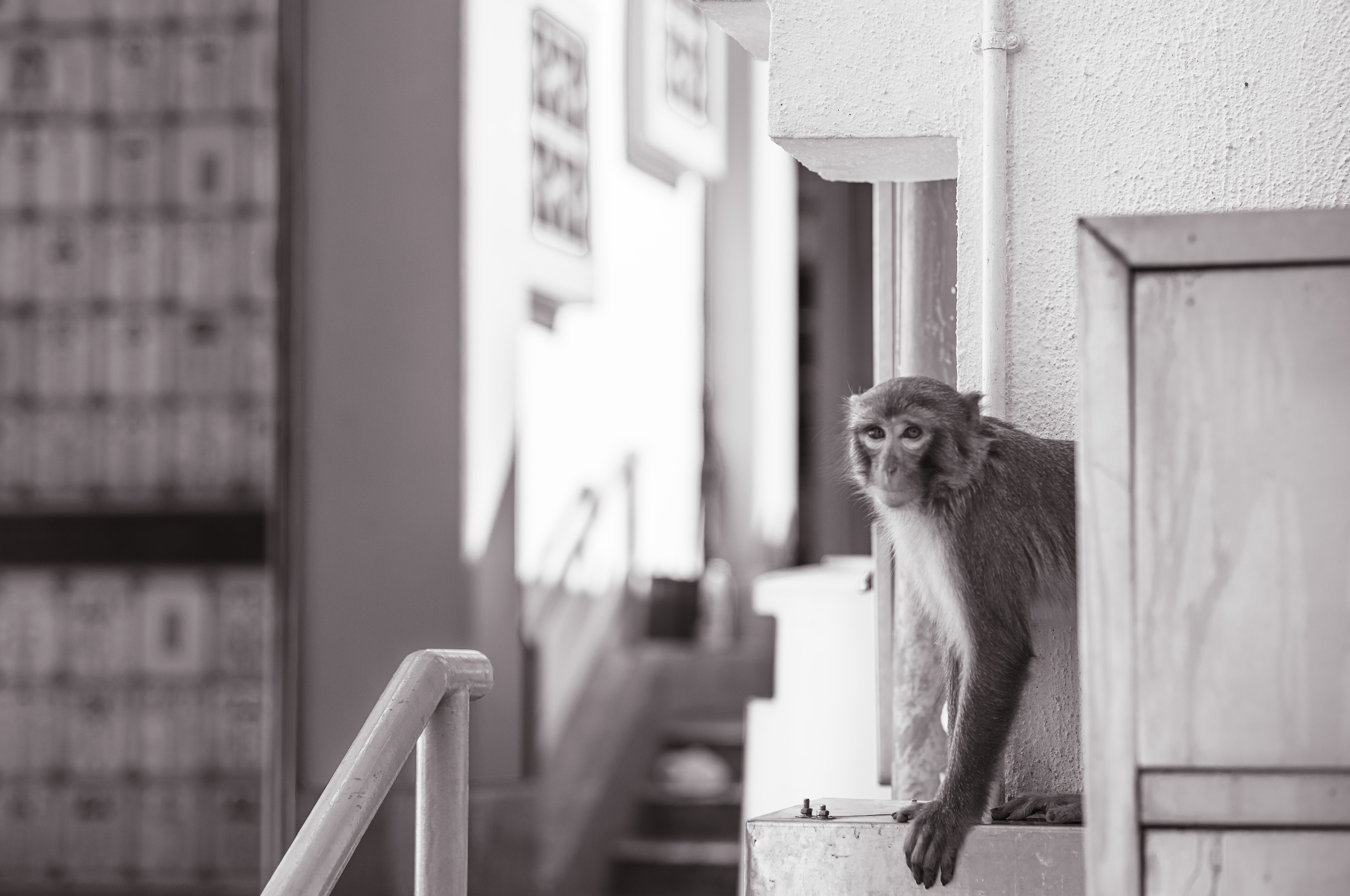 Christmas grave visits are a tradition in my family [LEICA M11, Voigtlander Nokton 75mm f/1.5 Aspherical]