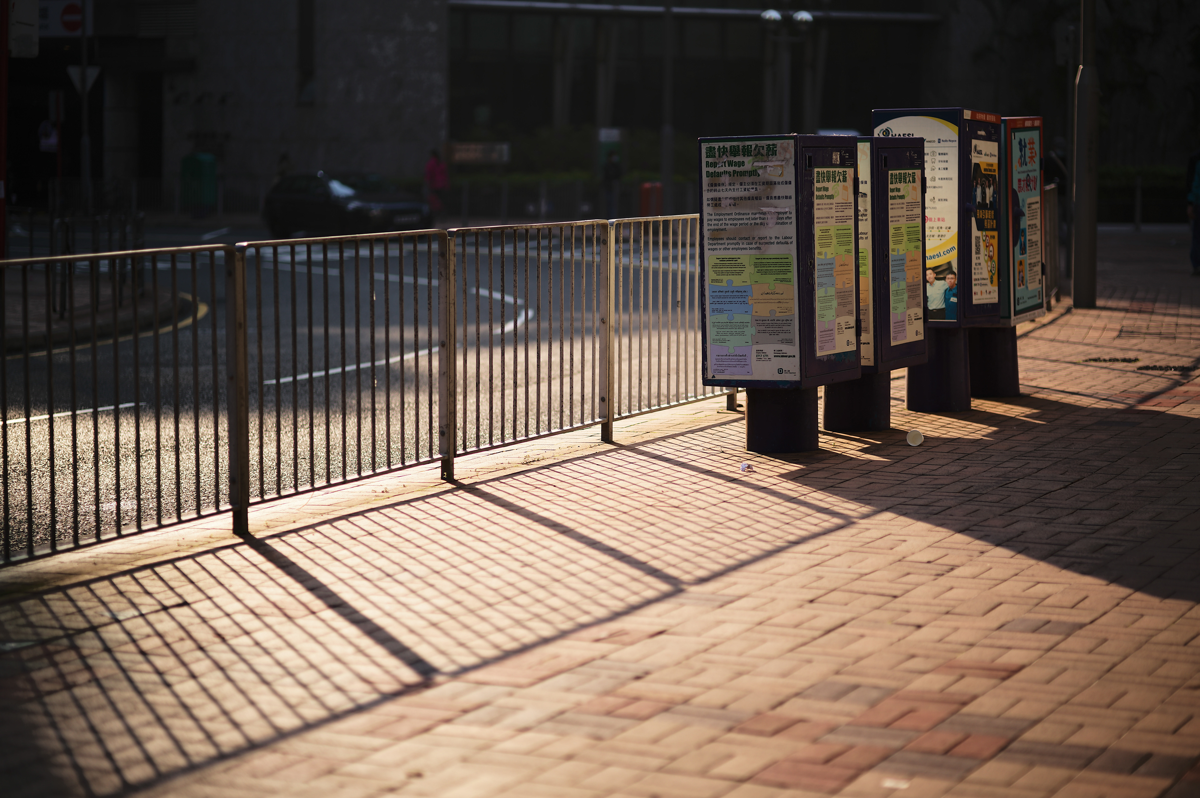 The morning light [LEICA M11, Voigtlander Nokton 75mm f/1.5 Aspherical]