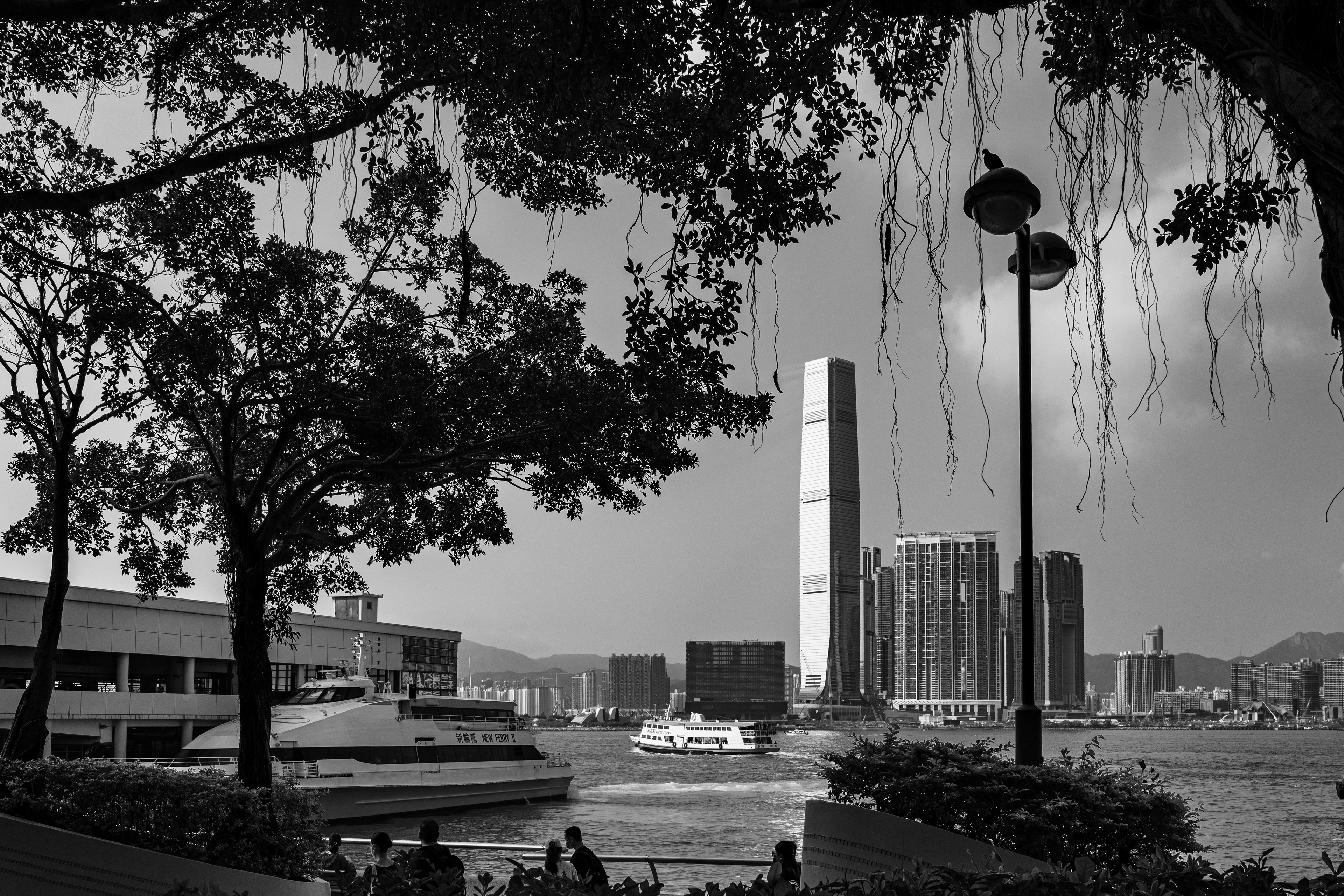 Went to Central Pier after having afternoon tea at Four Seasons Hotel [Panasonic LUMIX DC-S5, Sigma 35mm F/2 DG DN | Contemporary 020]